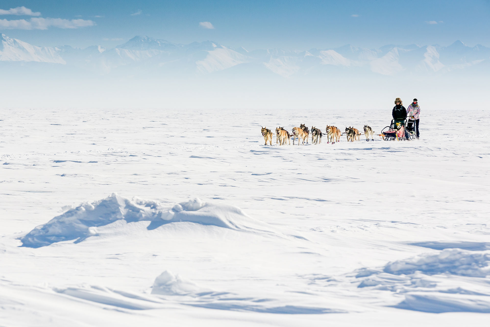 fotó: KINCSESKAMERA – Szabó Zoltán