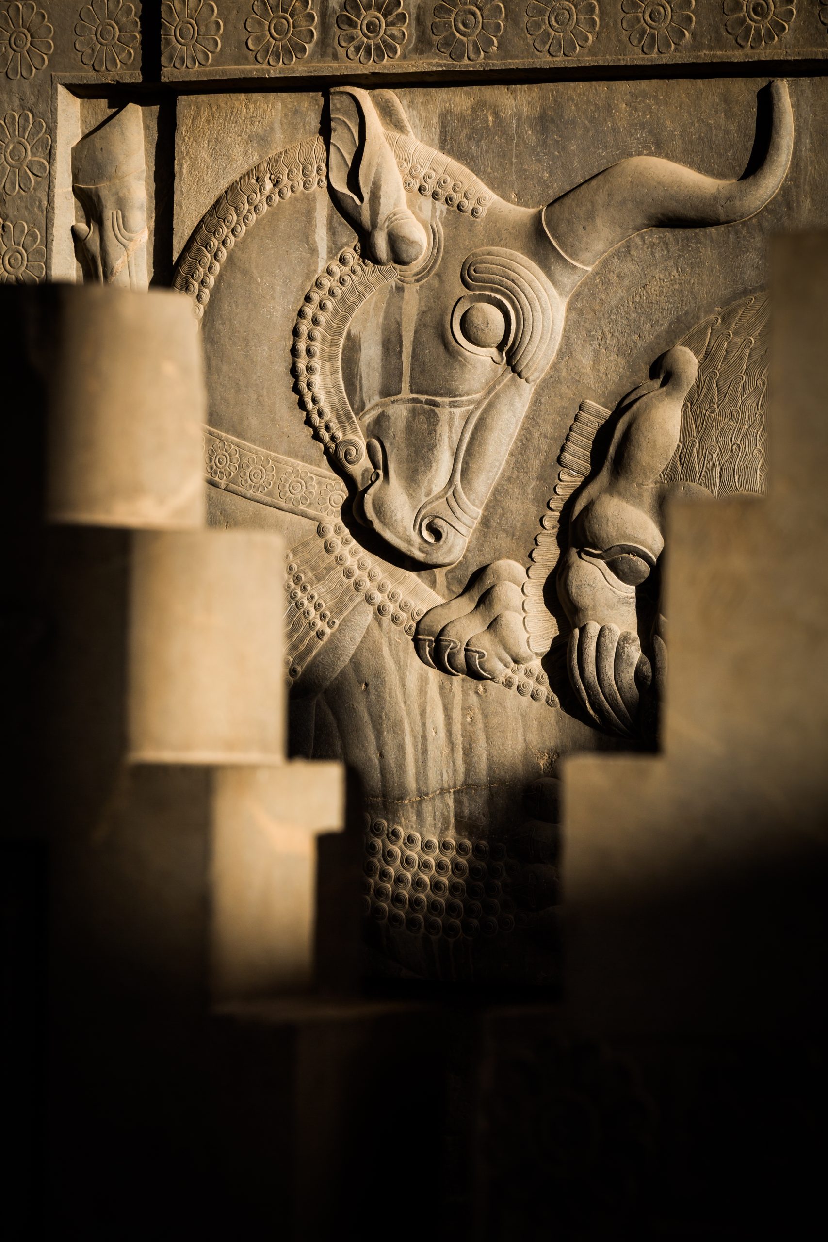 fotó: KINCSESKAMERA – Szabó Zoltán