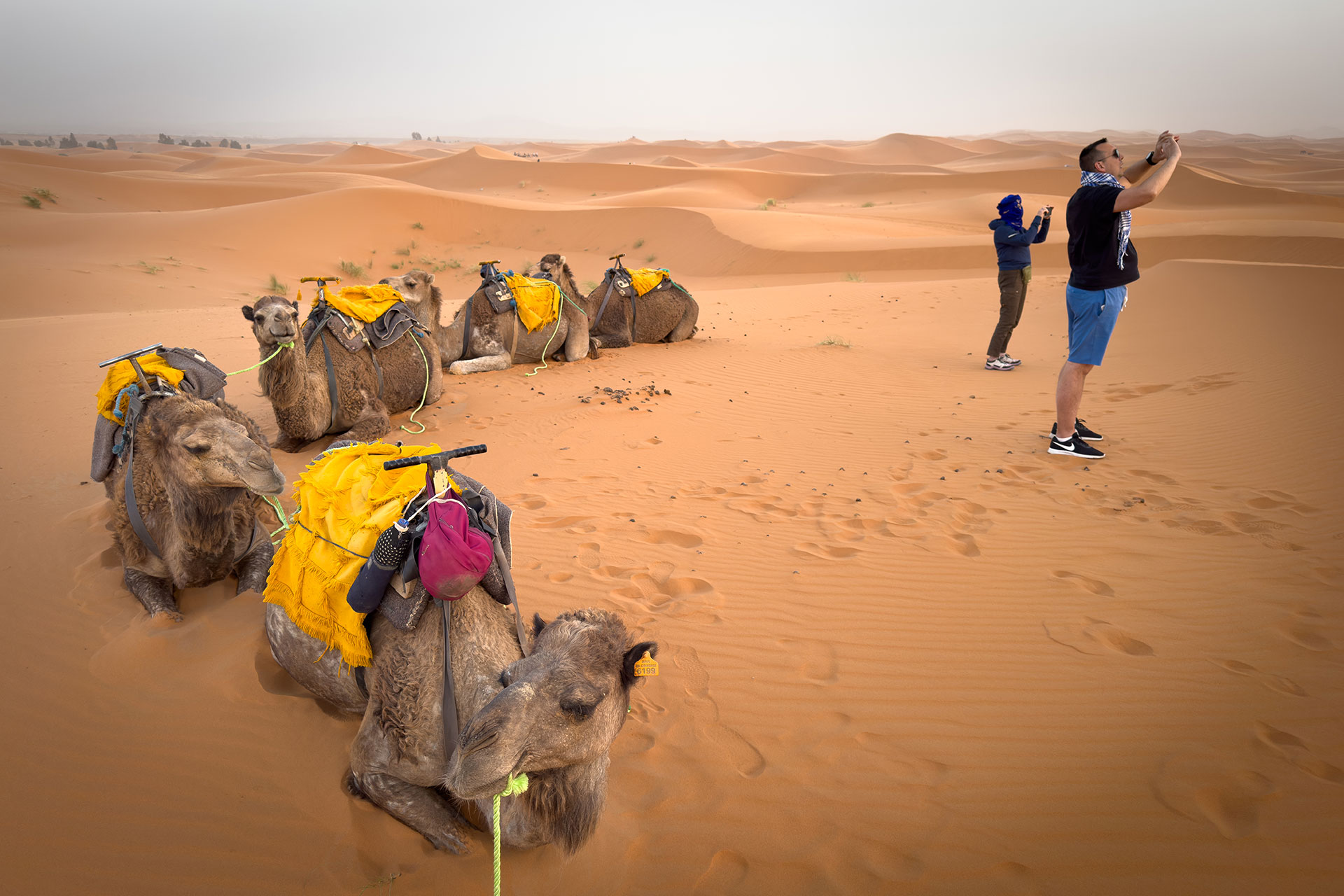 fotó: KINCSESKAMERA – Szabó Zoltán