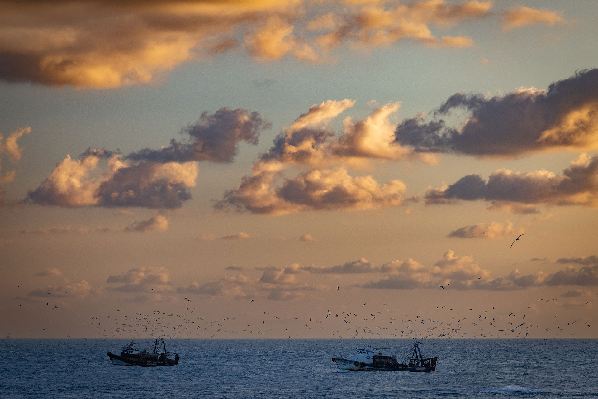 fotó: KINCSESKAMERA – Szabó Zoltán