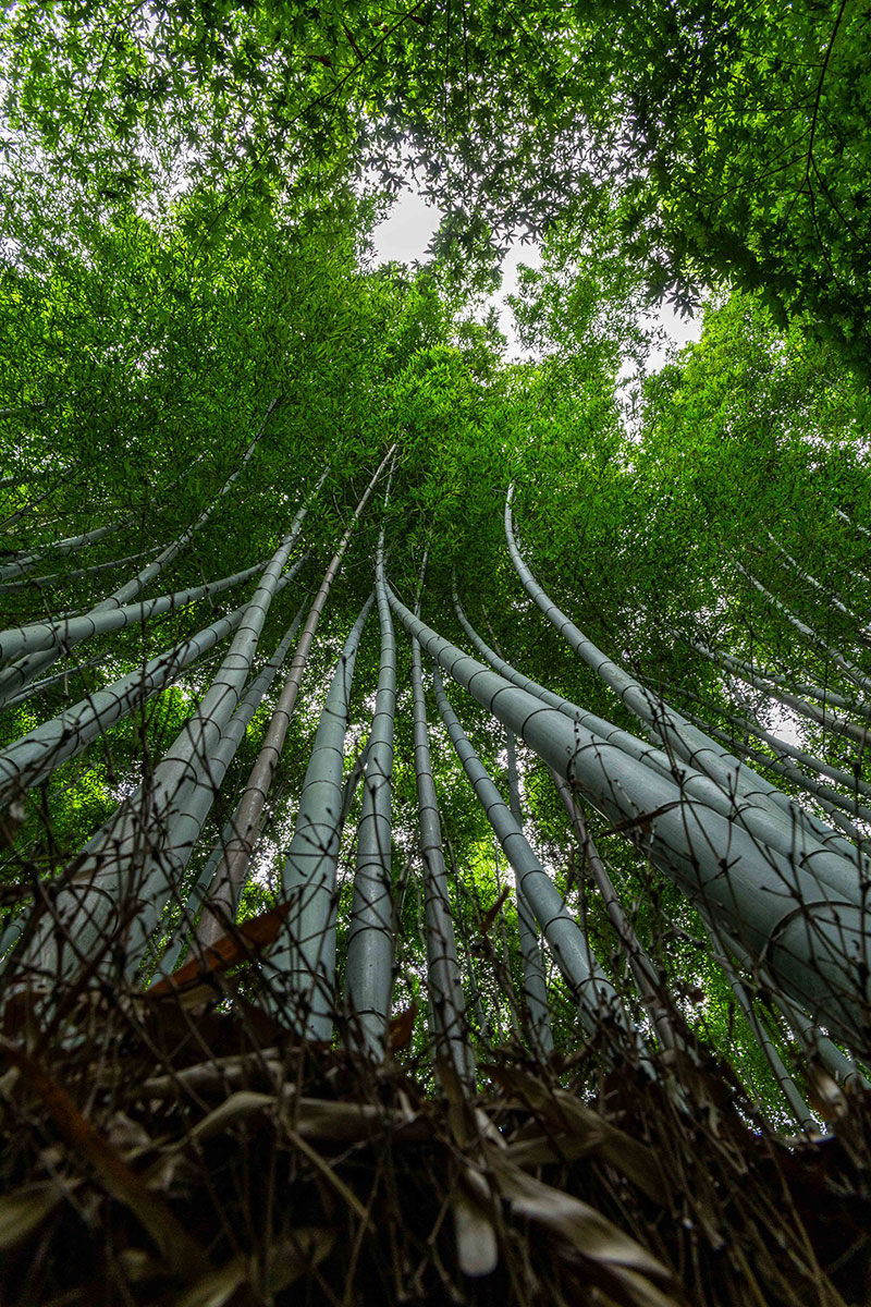 fotó: KINCSESKAMERA – Kocsány Kornél