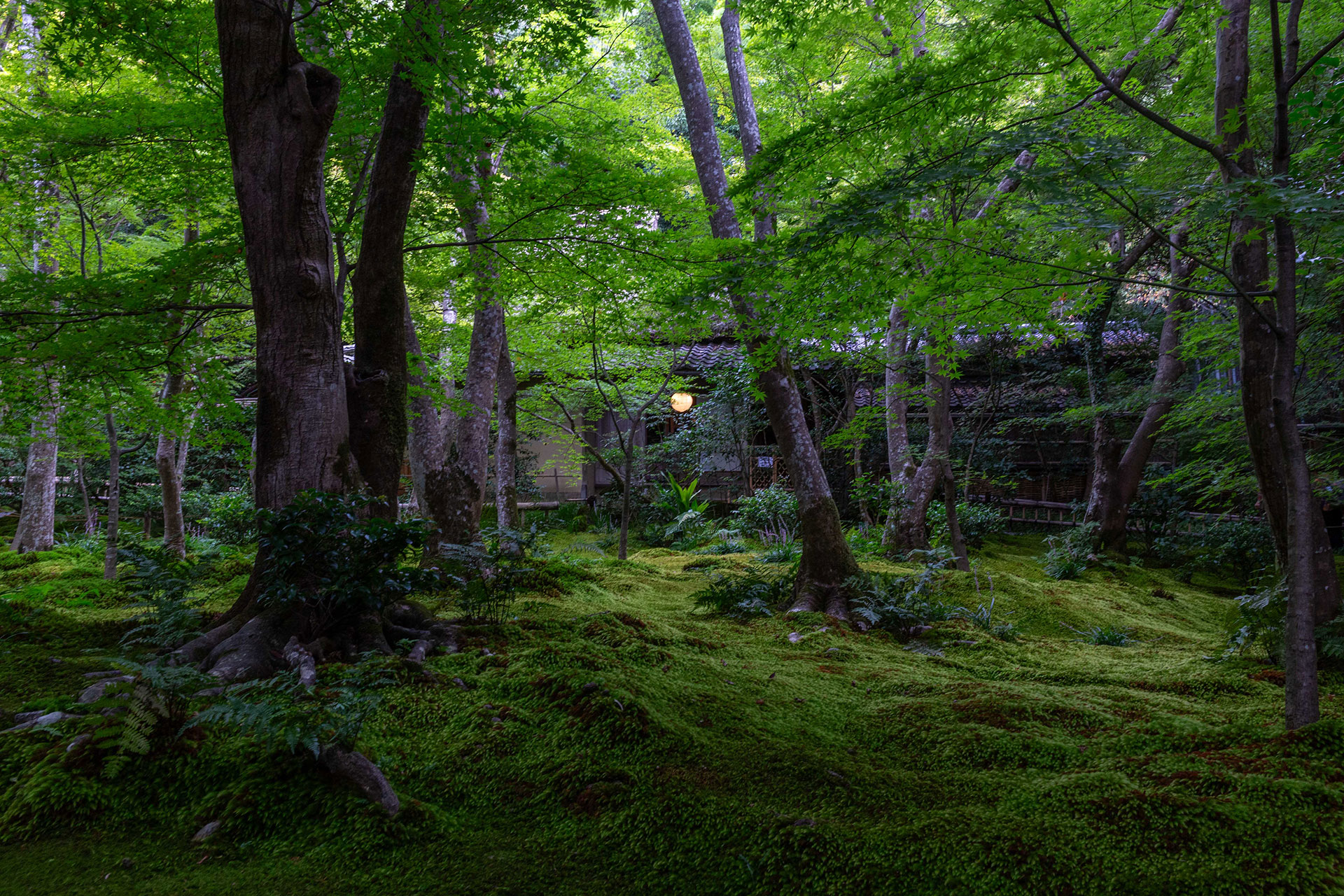 fotó: KINCSESKAMERA – Kocsány Kornél