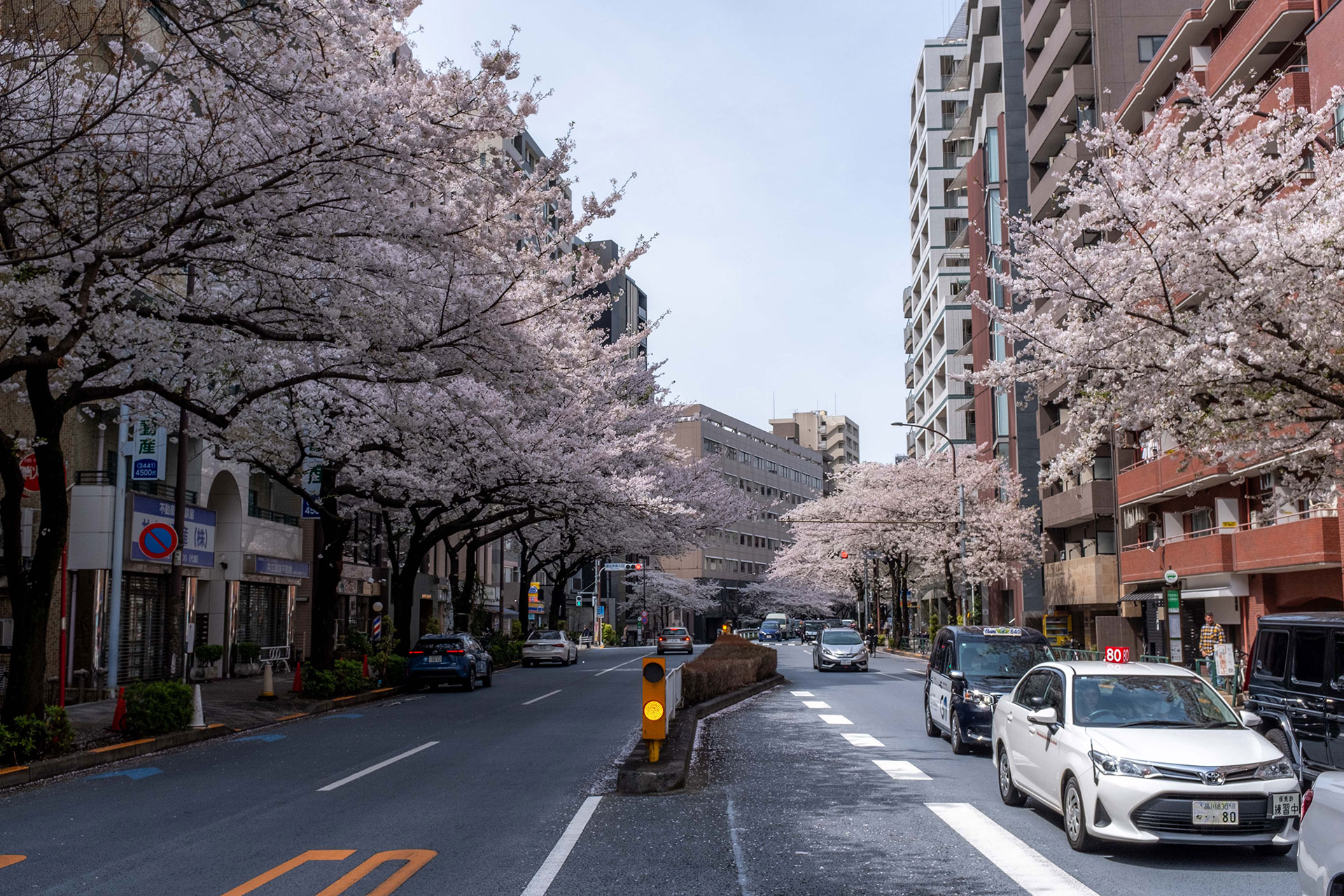 fotó: KINCSESKAMERA – Kocsány Kornél