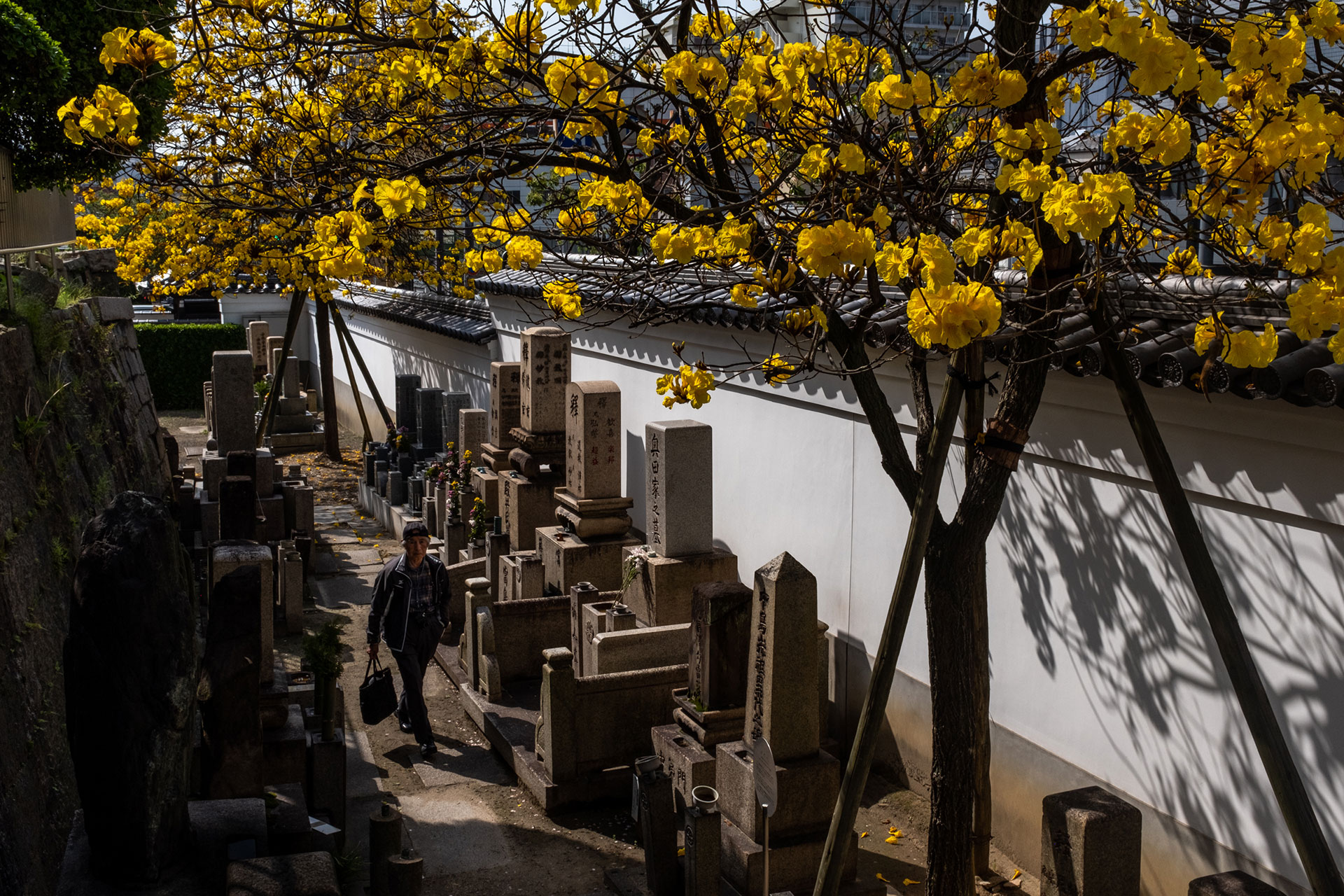 fotó: KINCSESKAMERA – Kocsány Kornél