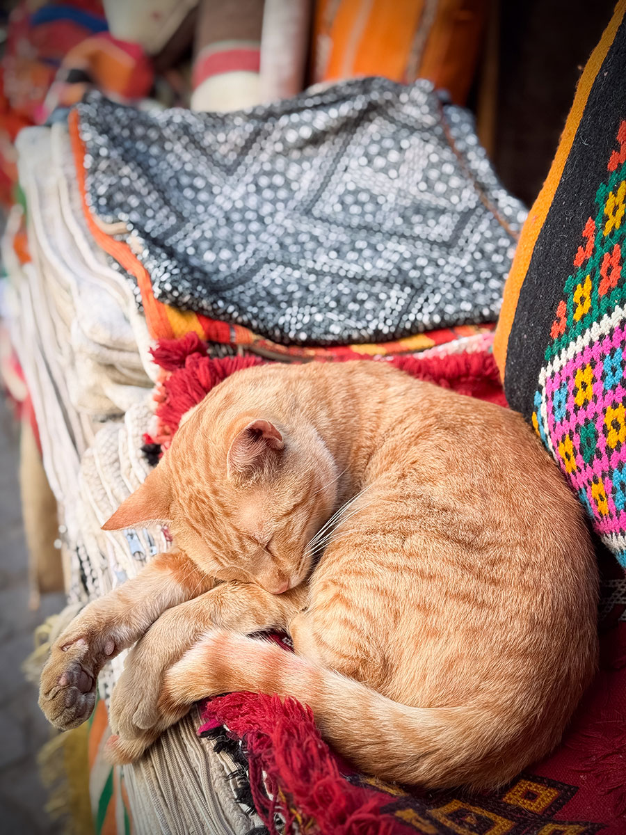 fotó: KINCSESKAMERA – Szabó Zoltán