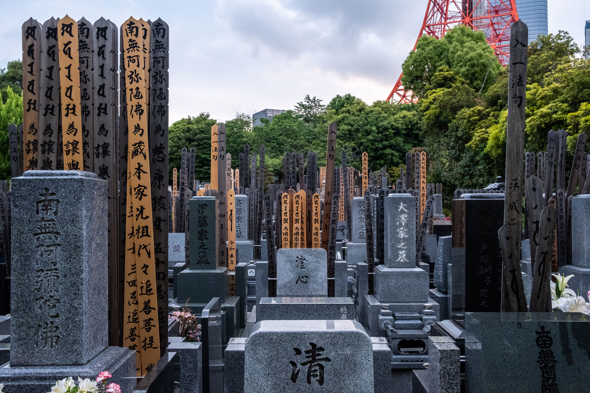 fotó: KINCSESKAMERA – Kocsány Kornél