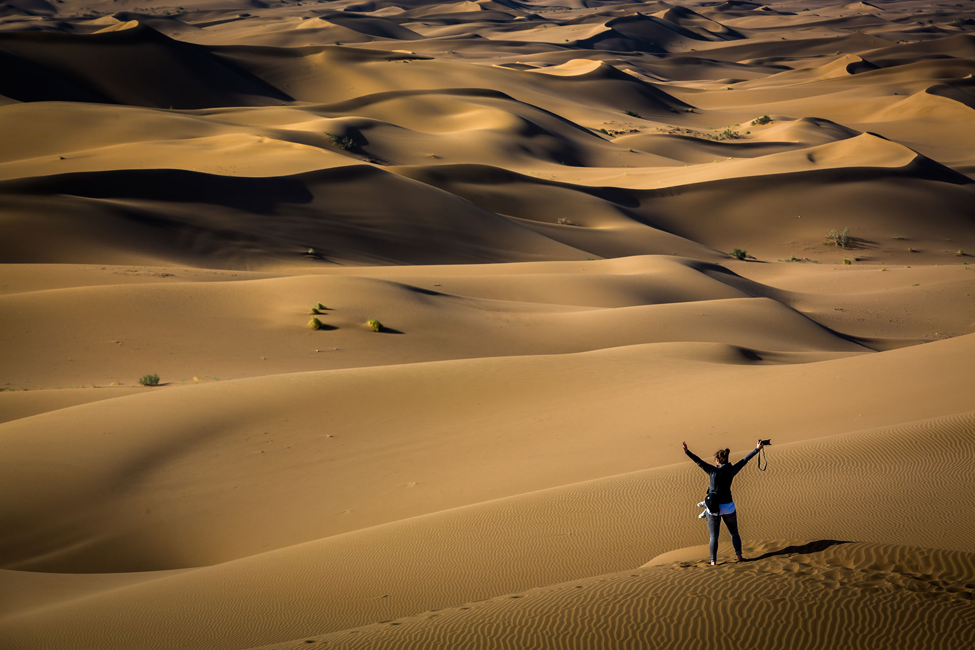 fotó: KINCSESKAMERA – Szabó Zoltán