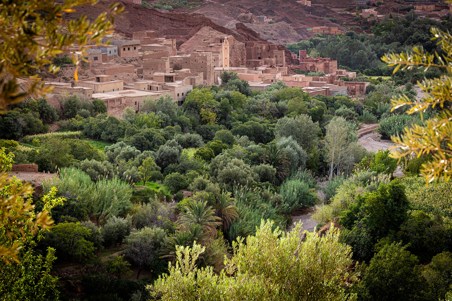 fotó: KINCSESKAMERA – Szabó Zoltán