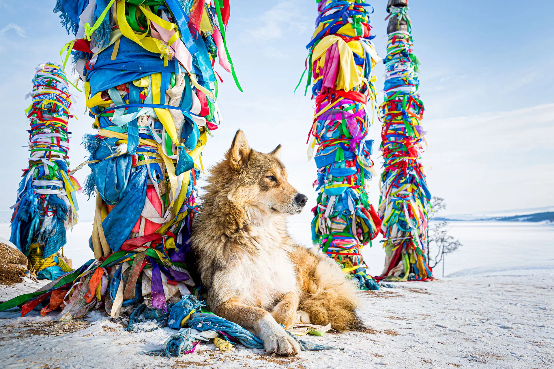 fotó: KINCSESKAMERA – Szabó Zoltán