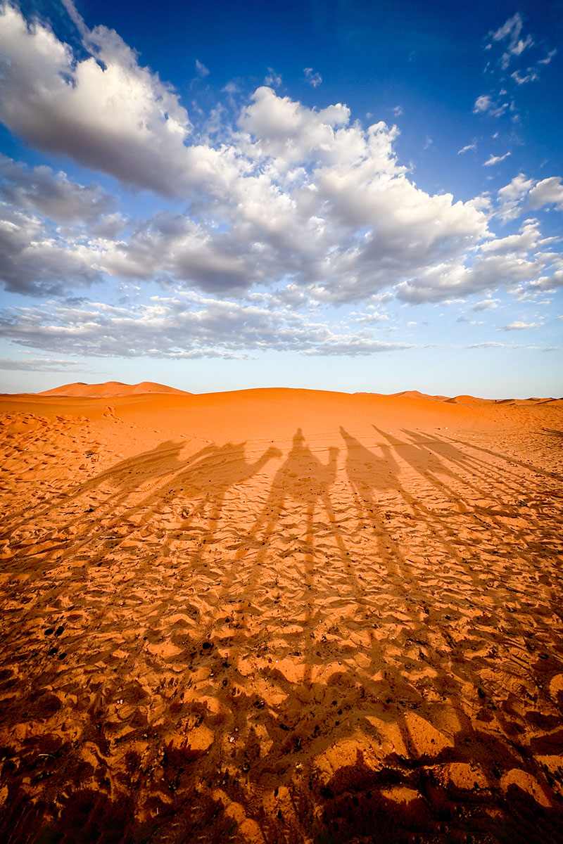 Teve karaván árnyéka az Erg Chebbi sivatagban Marokkóban