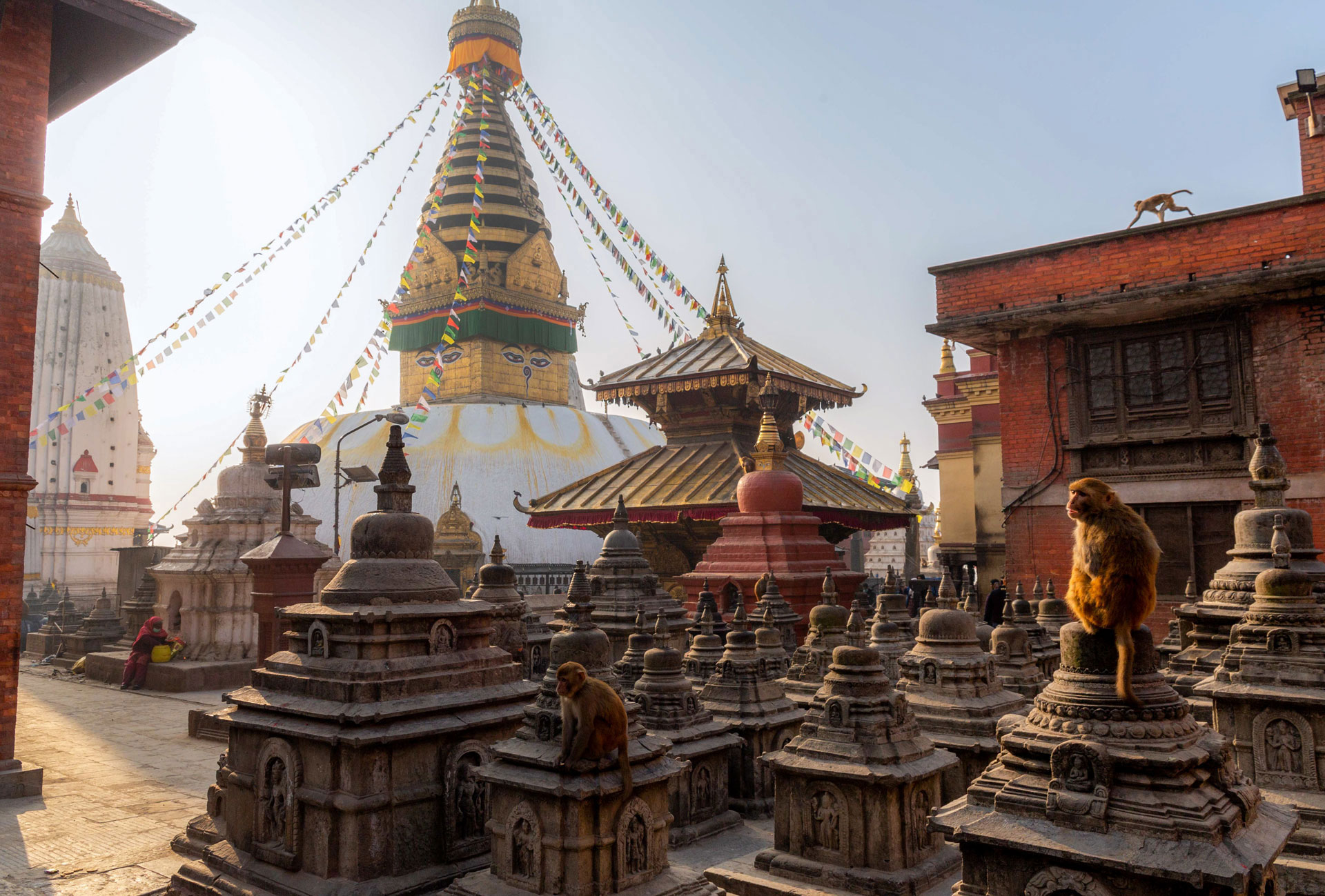 fotó: KINCSESKAMERA – Kocsány Kornél