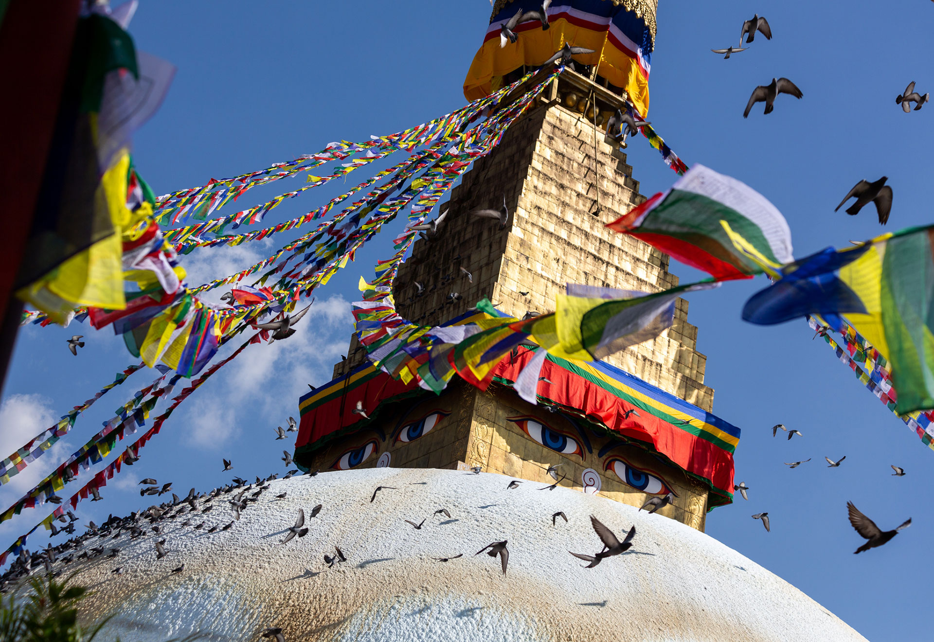 fotó: KINCSESKAMERA – Kocsány Kornél