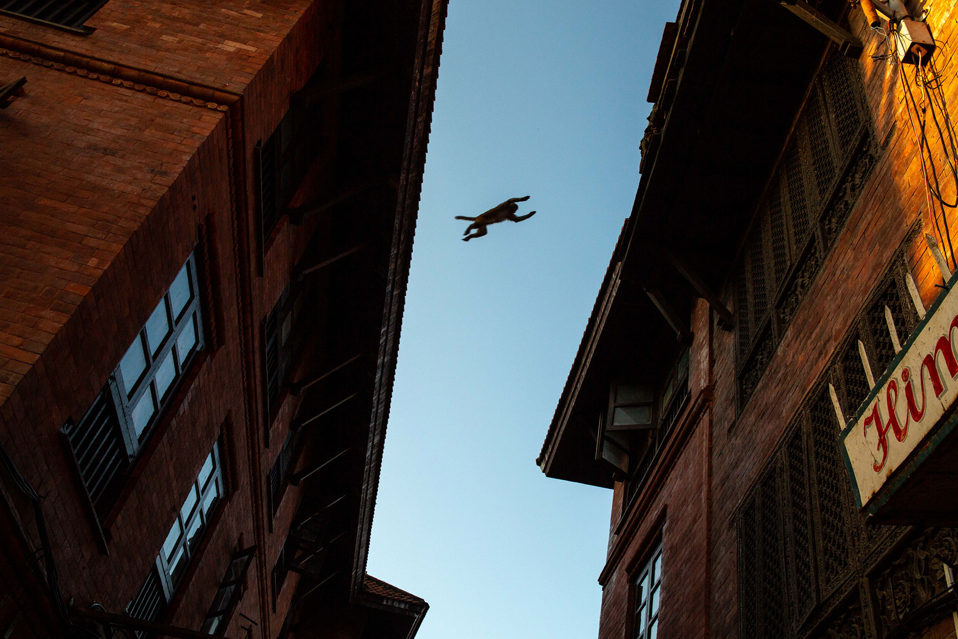 fotó: KINCSESKAMERA – Kocsány Kornél