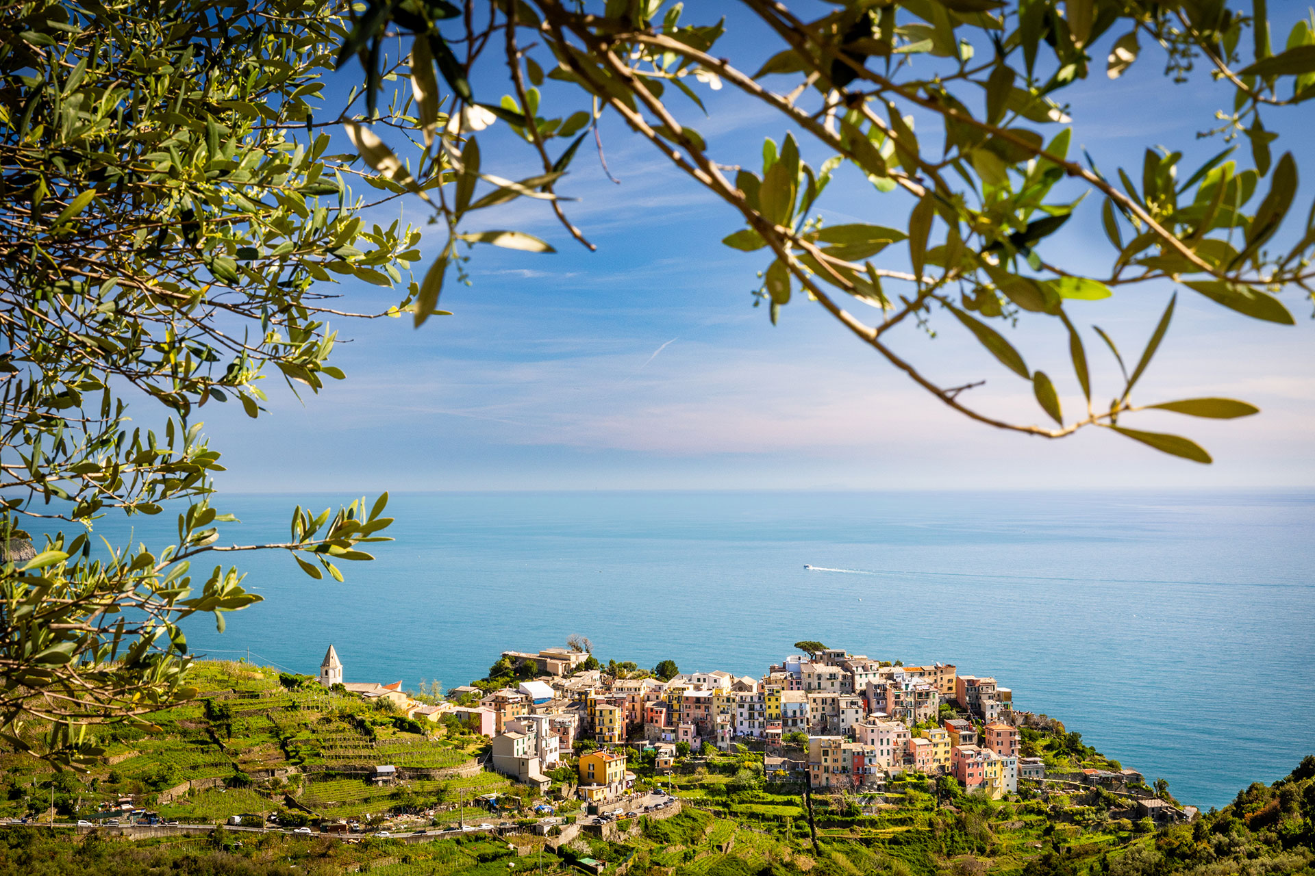 fotó: KINCSESKAMERA – Szabó Zoltán