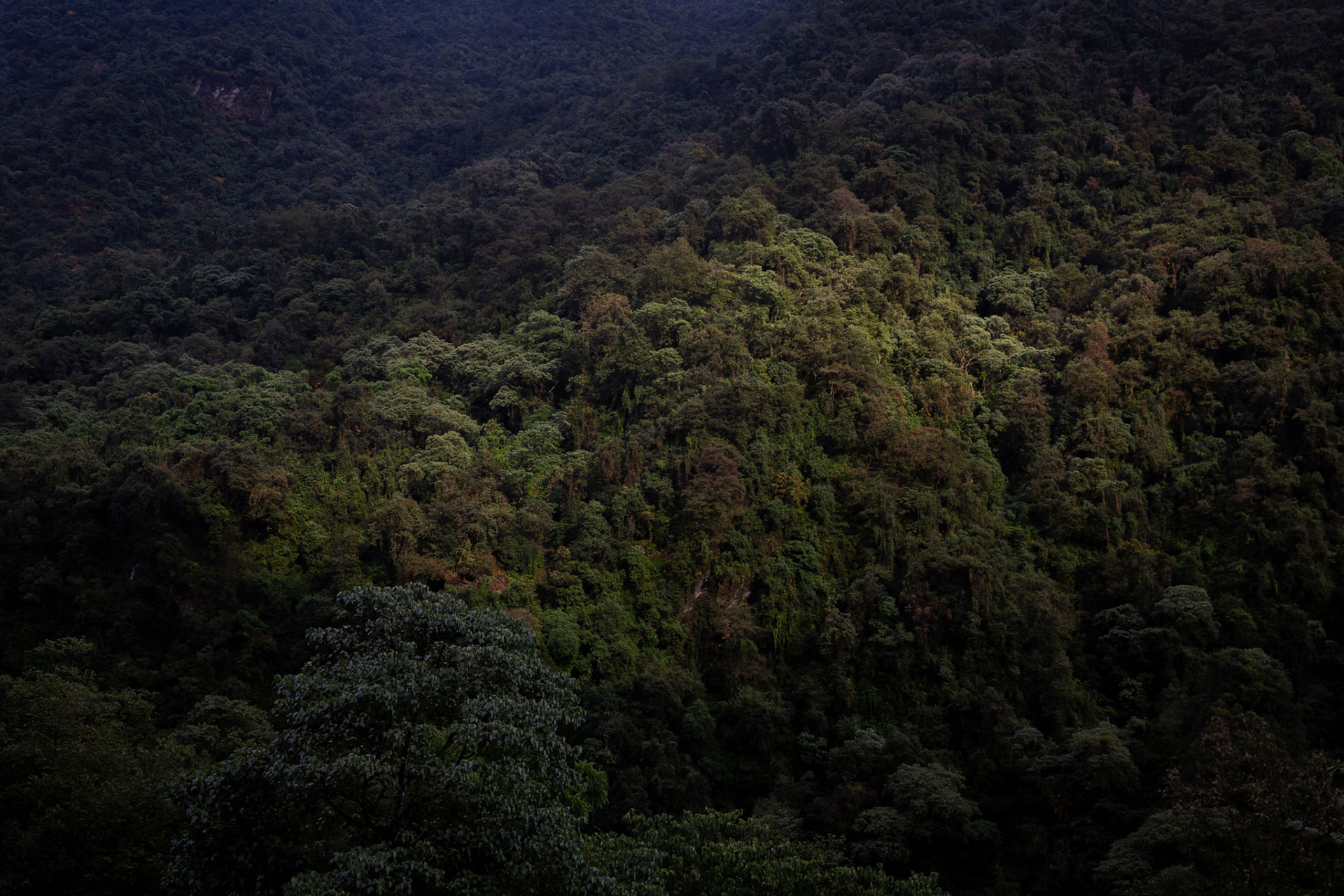 fotó: KINCSESKAMERA – Kocsány Kornél
