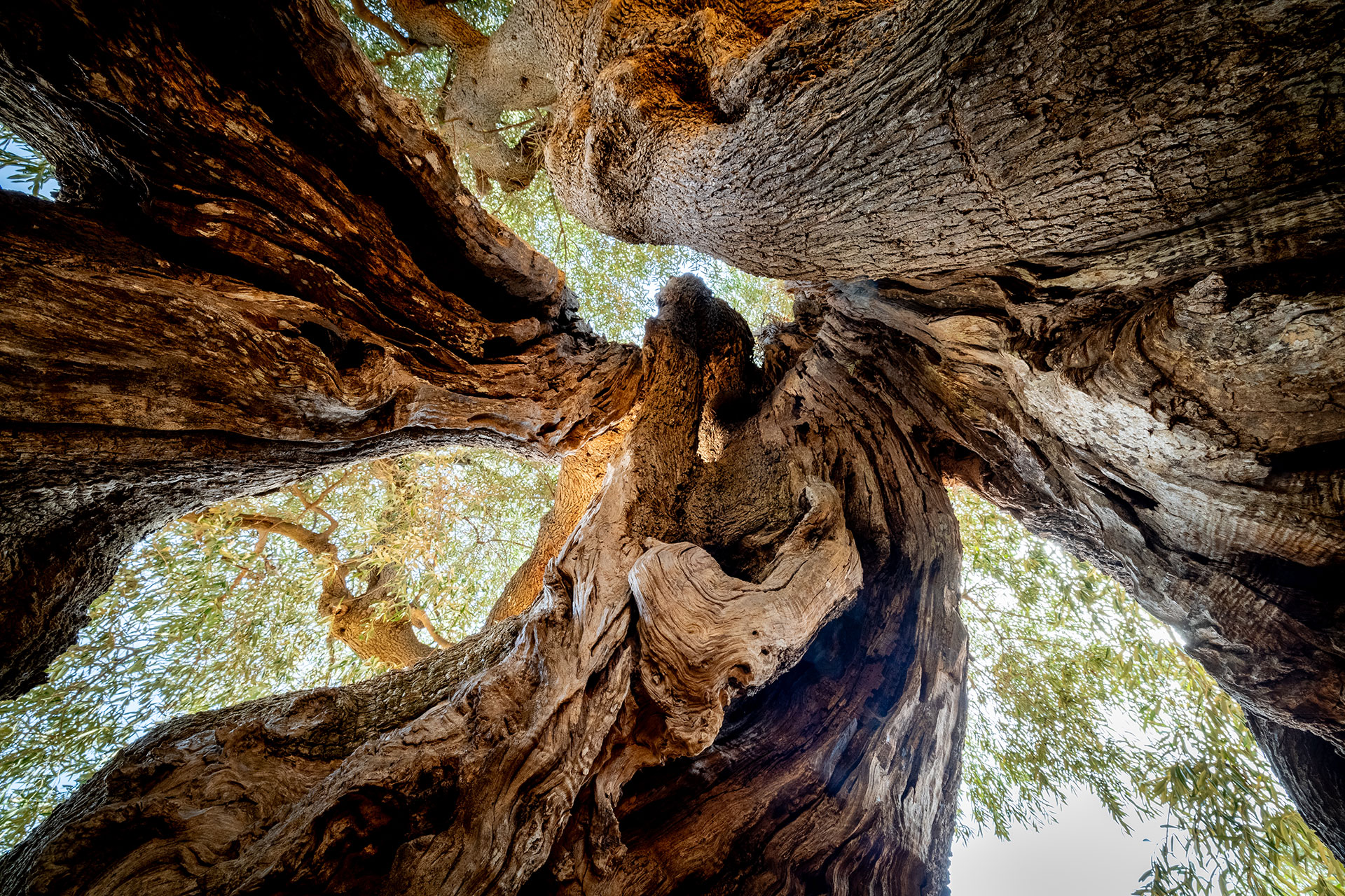 fotó: KINCSESKAMERA – Szabó Zoltán