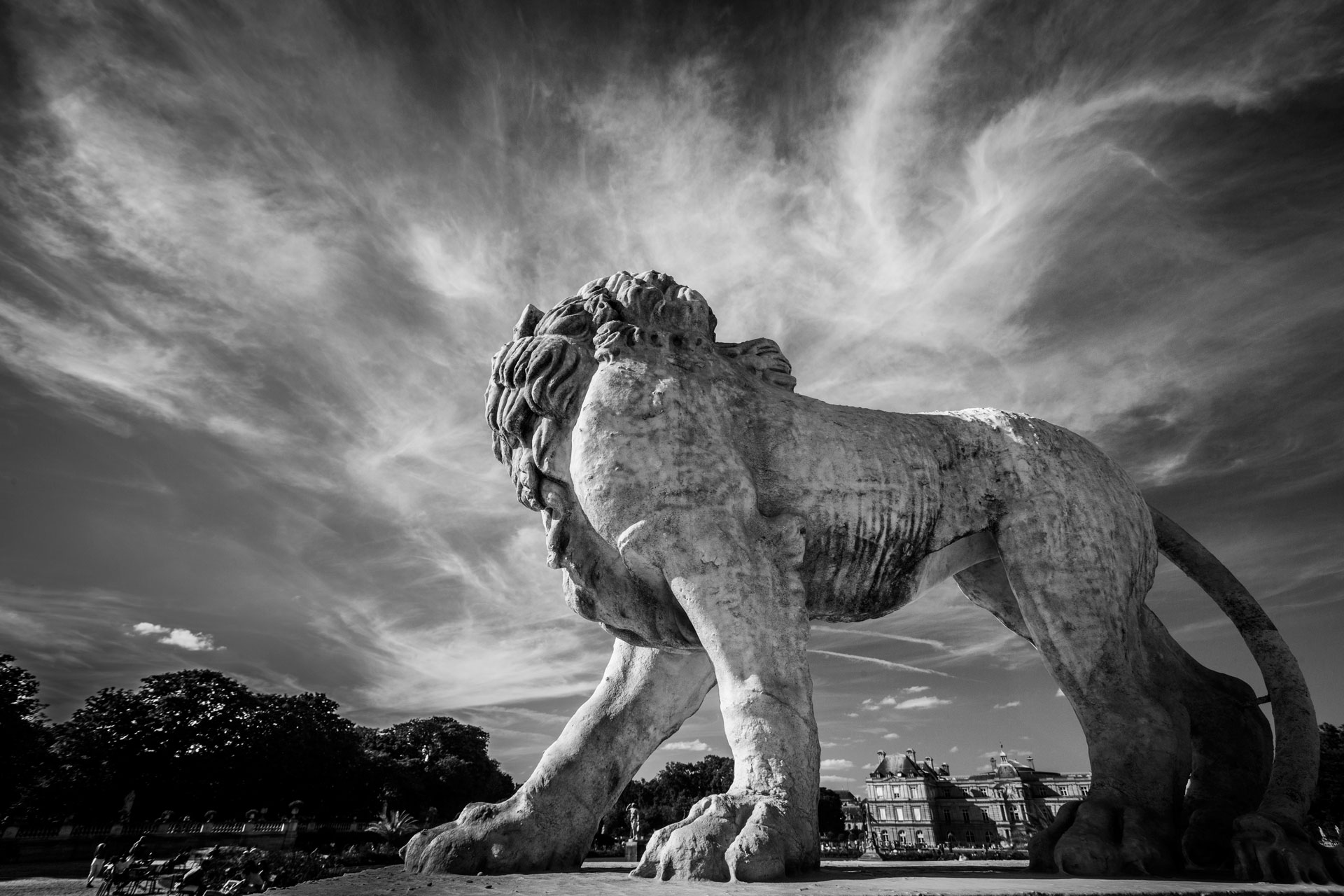 fotó: KINCSESKAMREA – Szabó Zoltán