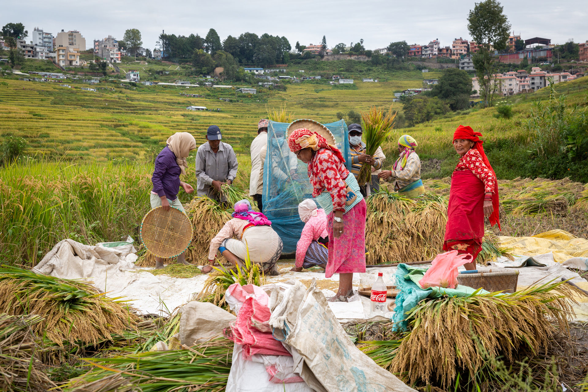 fotó: KINCSESKAMERA – Kocsány Kornél