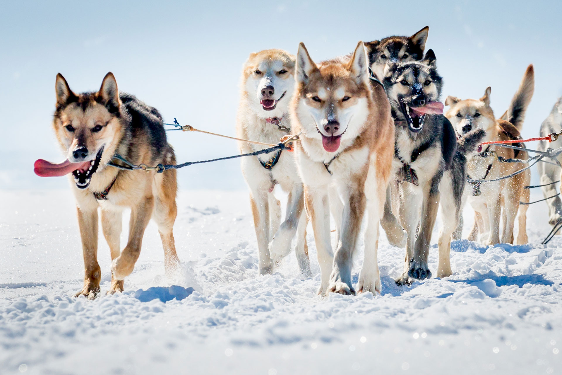 fotó: KINCSESKAMERA – Szabó Zoltán