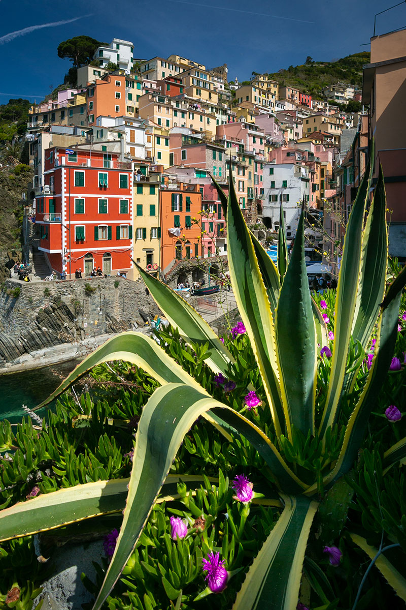 fotó: KINCSESKAMERA – Szabó Zoltán