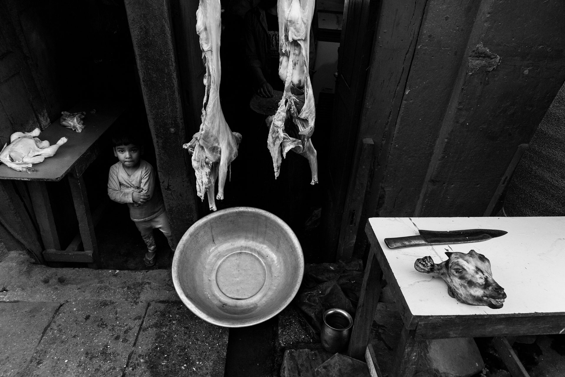 fotó: KINCSESKAMERA – Kocsány Kornél