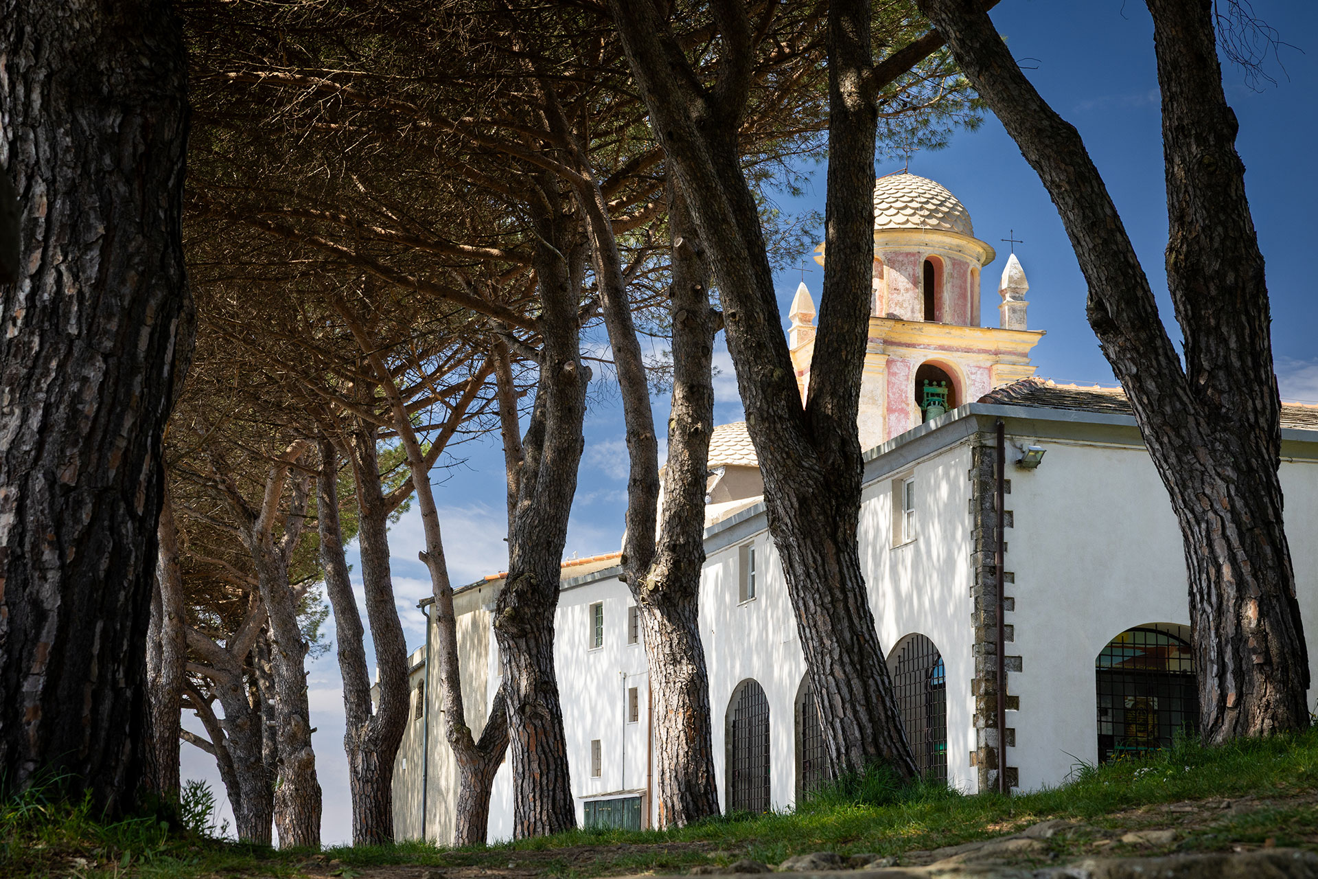 fotó: KINCSESKAMERA – Szabó Zoltán