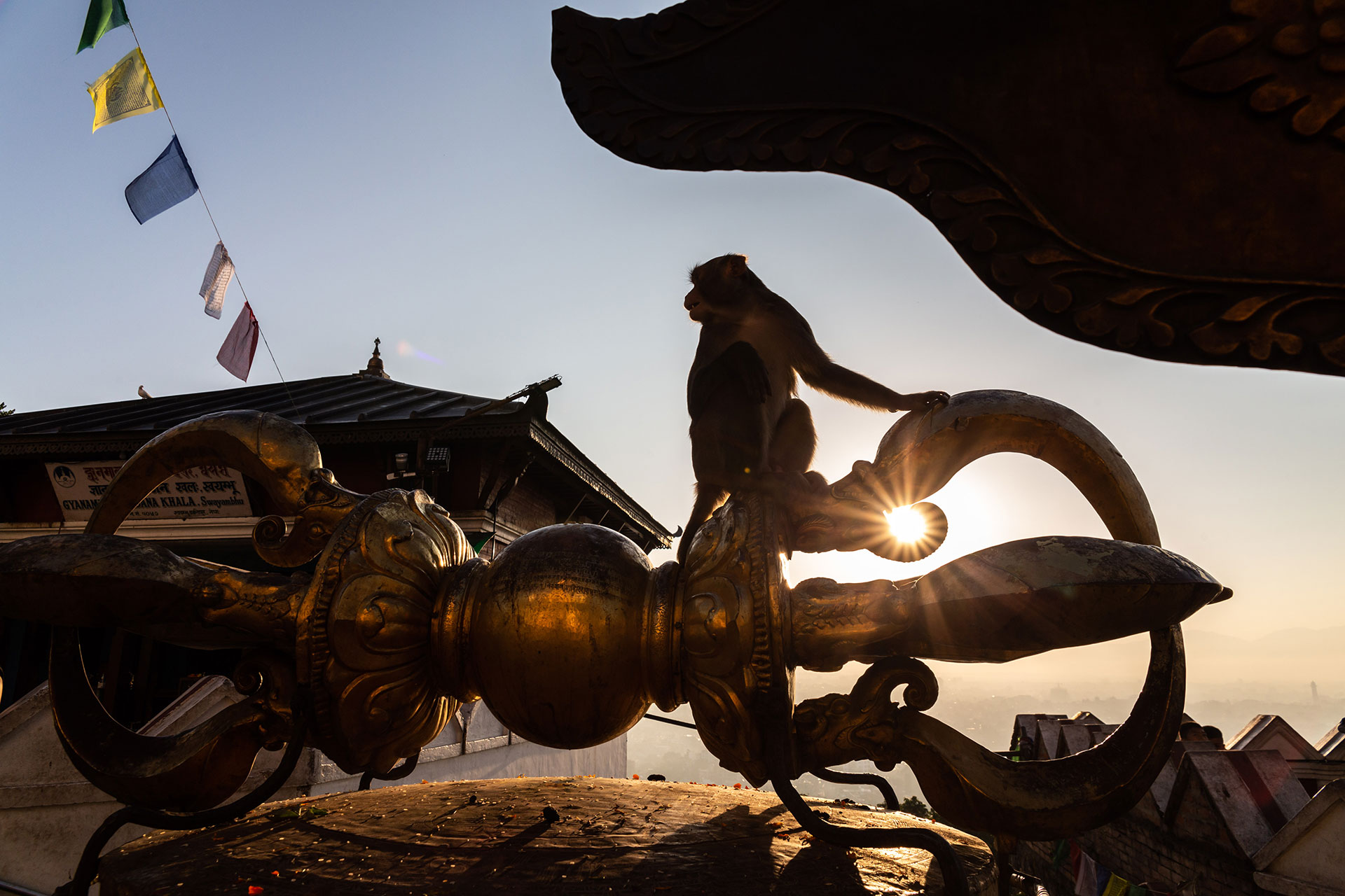 fotó: KINCSESKAMERA – Kocsány Kornél