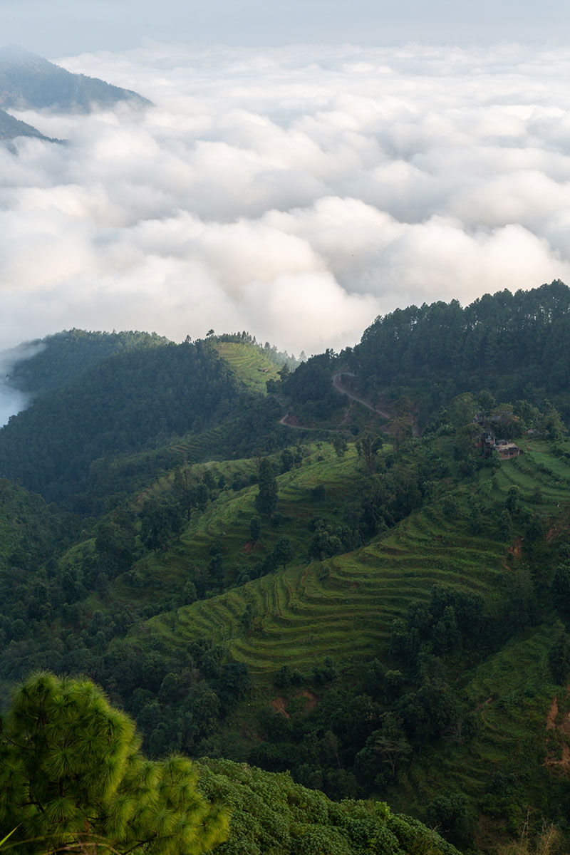 fotó: KINCSESKAMERA – Kocsány Kornél