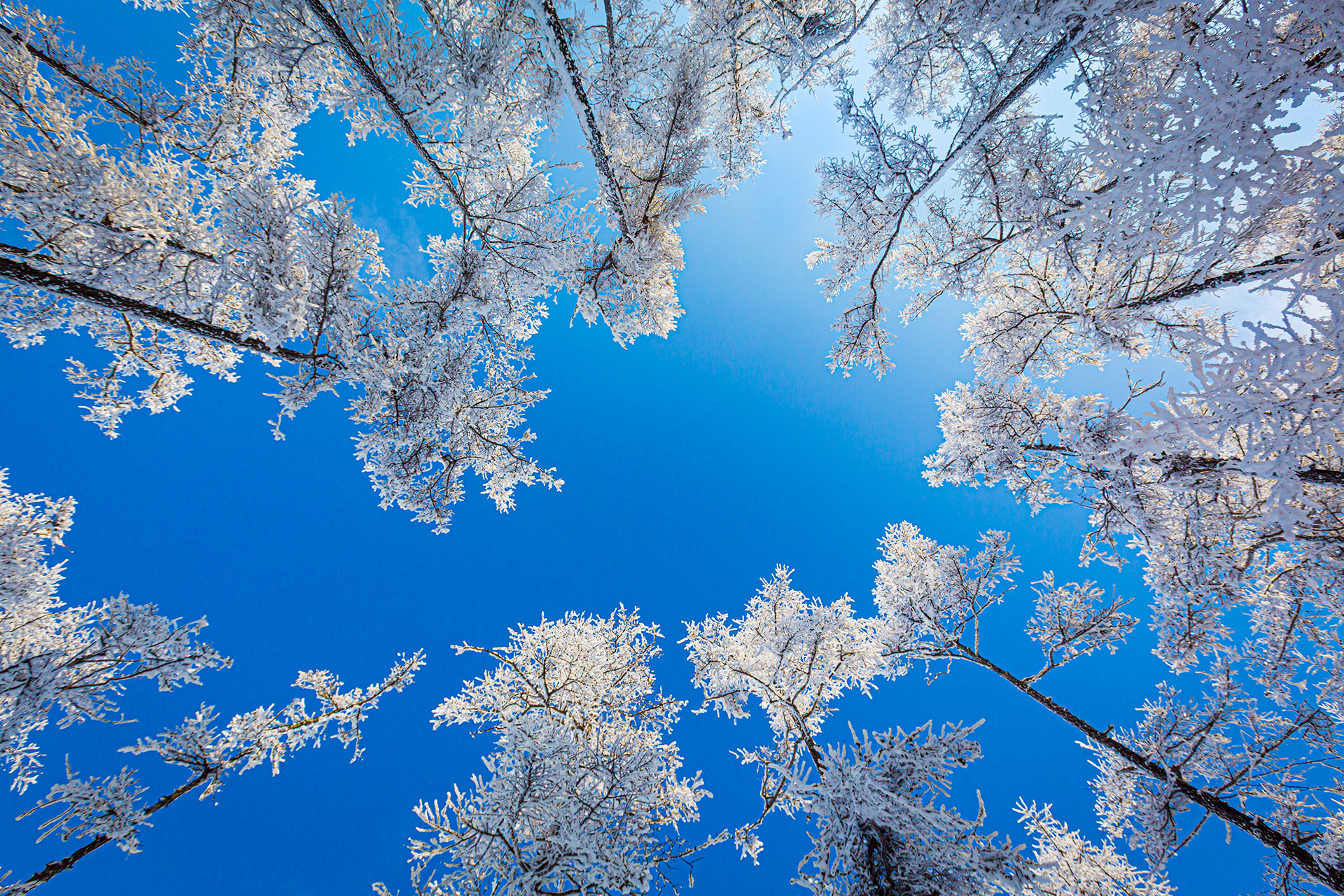 fotó: KINCSESKAMERA – Szabó Zoltán