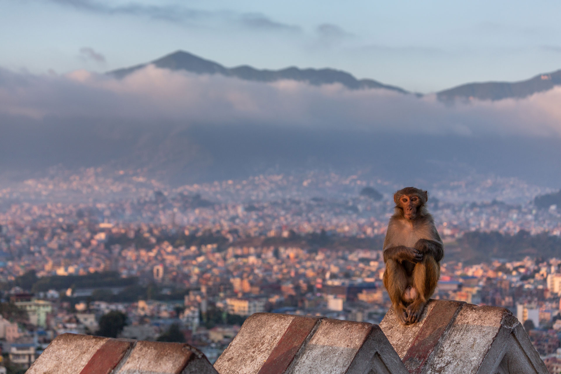 fotó: KINCSESKAMERA – Kocsány Kornél