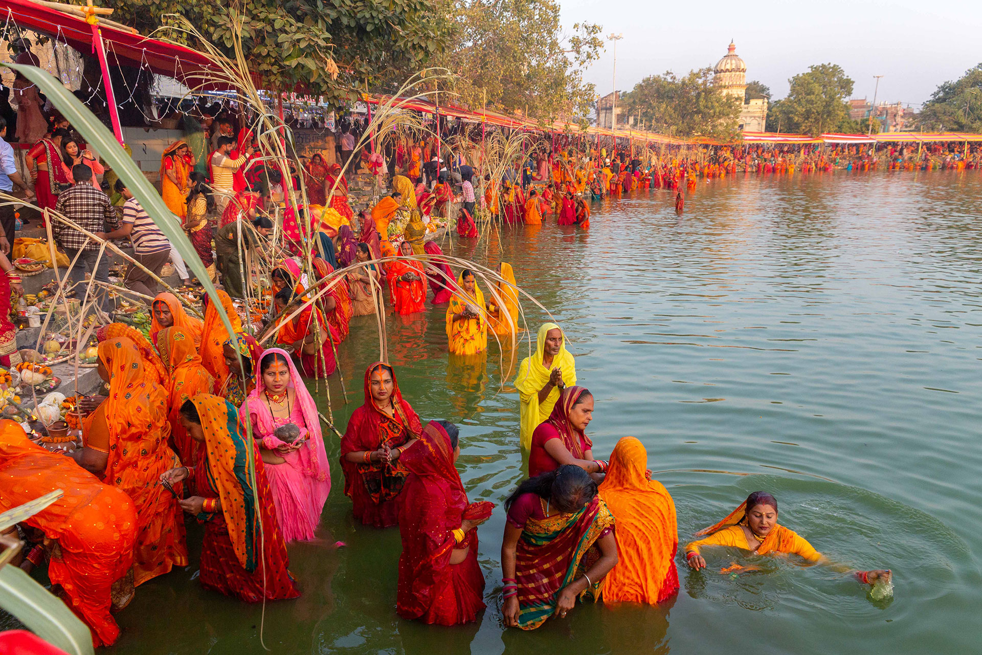 fotó: KINCSESKAMERA – Kocsány Kornél