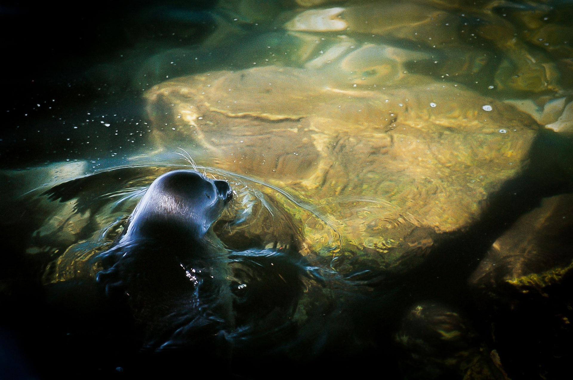 fotó: KINCSESKAMERA – Szabó Zoltán