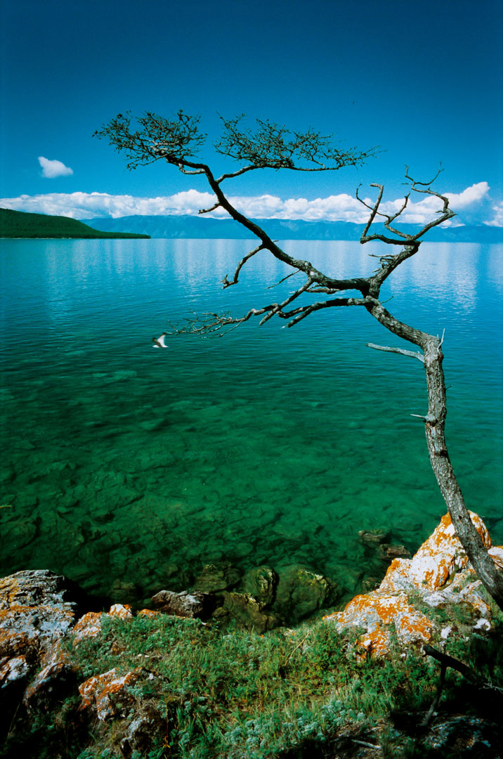 fotó: KINCSESKAMERA – Szabó Zoltán