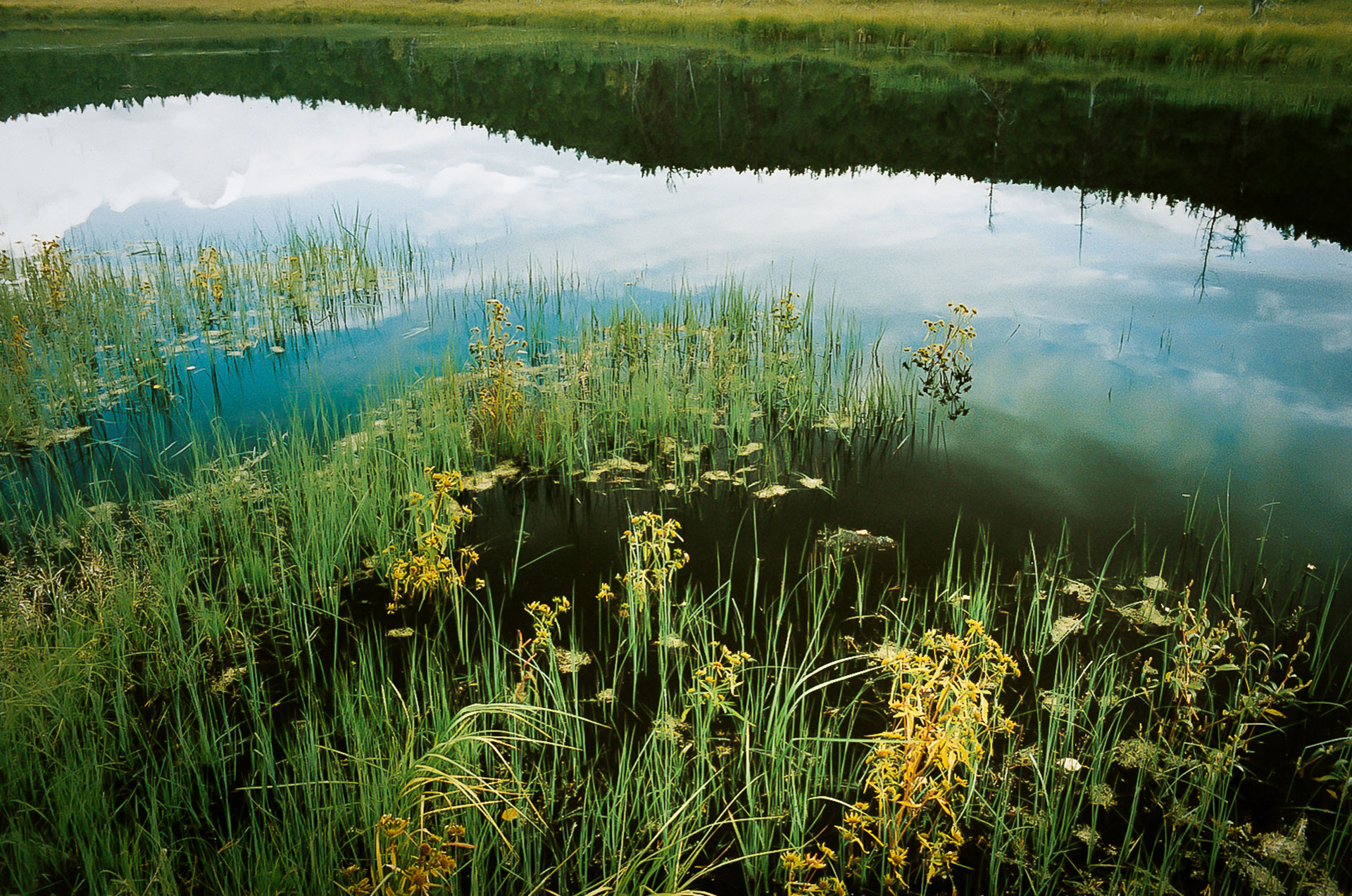 fotó: KINCSESKAMERA – Szabó Zoltán