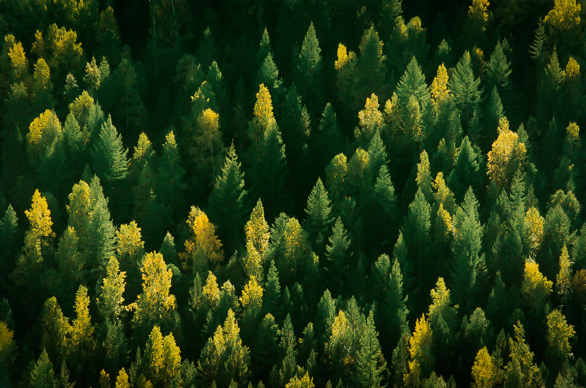 fotó: KINCSESKAMERA – Szabó Zoltán