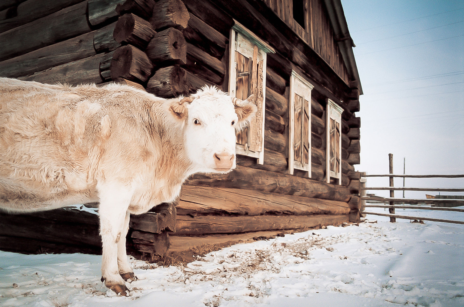fotó: KINCSESKAMERA – Szabó Zoltán