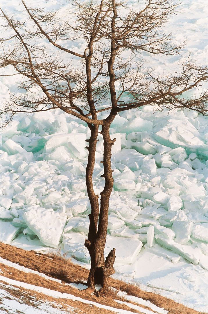 fotó: KINCSESKAMERA – Szabó Zoltán