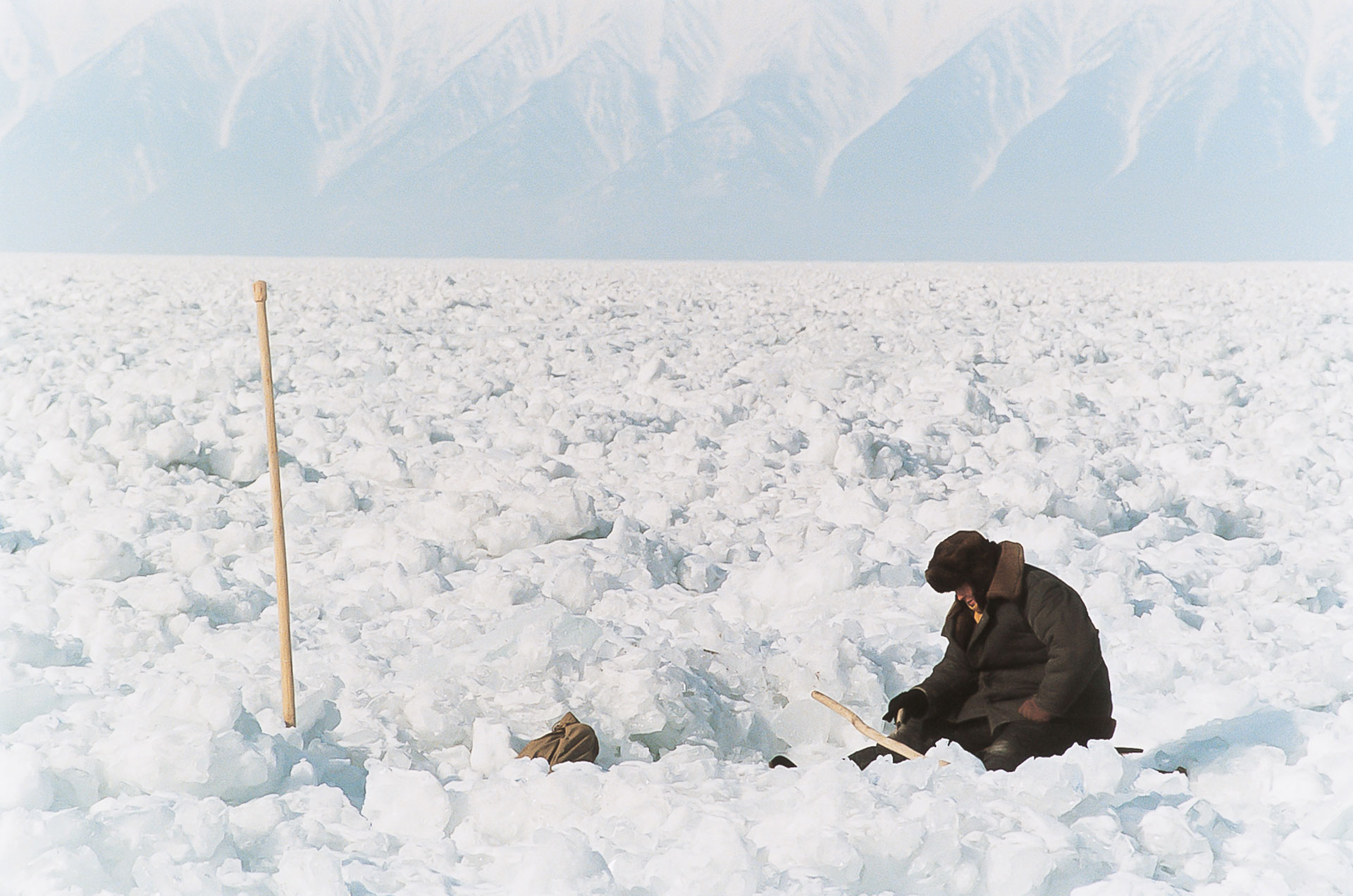 fotó: KINCSESKAMERA – Szabó Zoltán