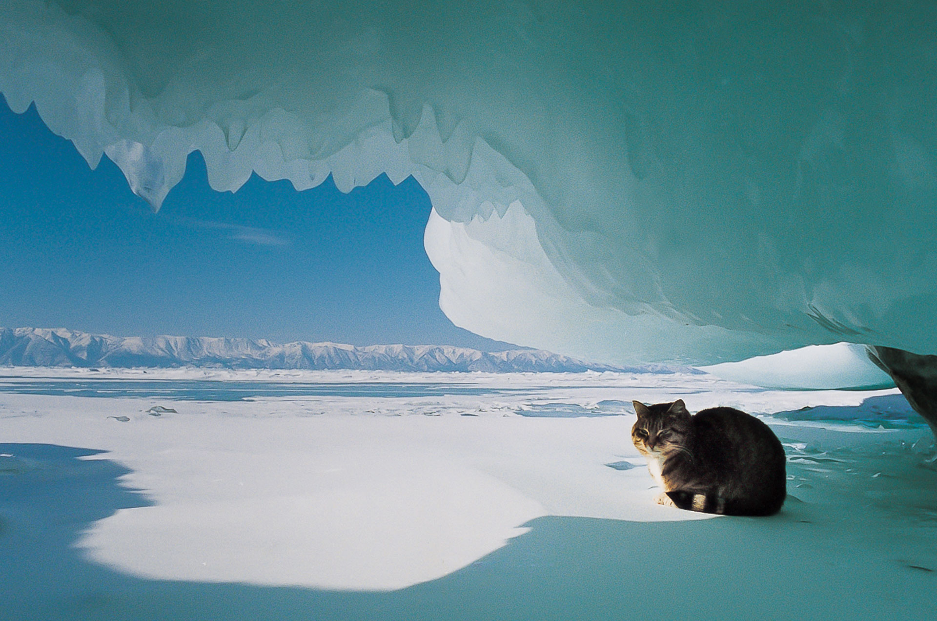 fotó: KINCSESKAMERA – Szabó Zoltán