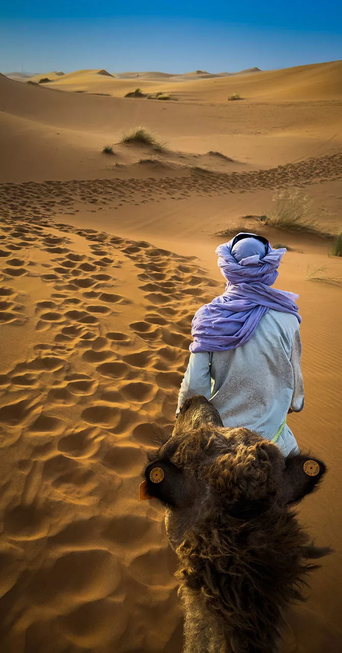 Tevéjét vezető beduin az Erg Chebbi sivatagban Marokkóban