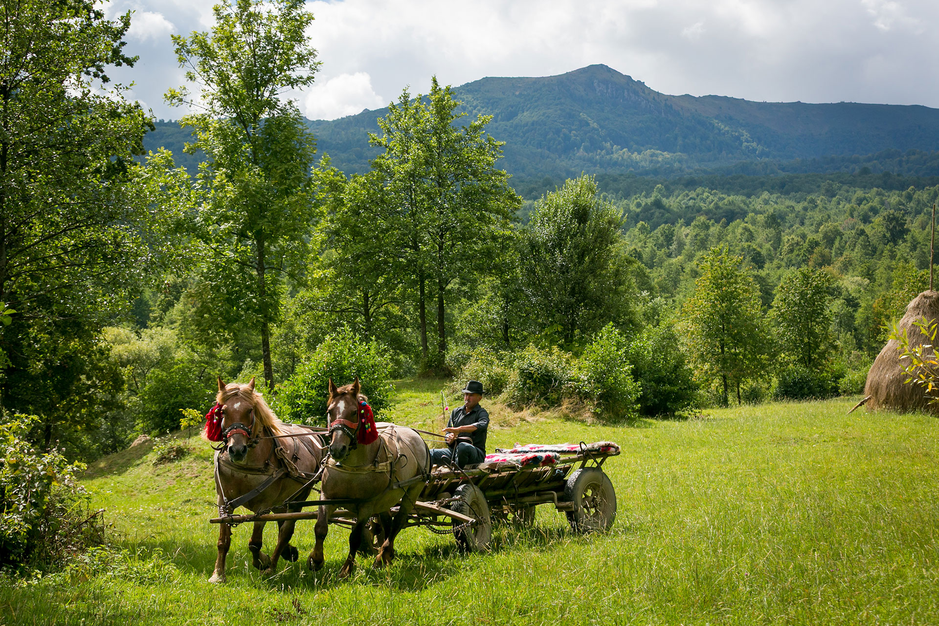 fotó: KINCSESKAMERA – Szabó Zoltán