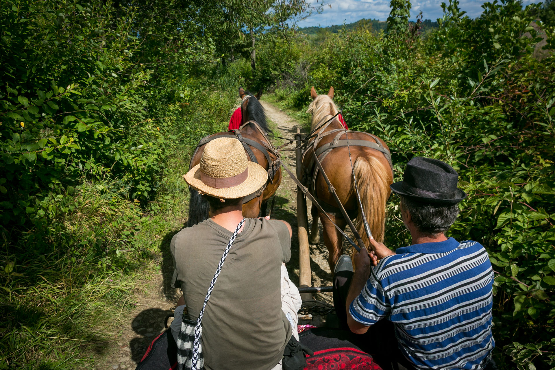 fotó: KINCSESKAMERA – Szabó Zoltán