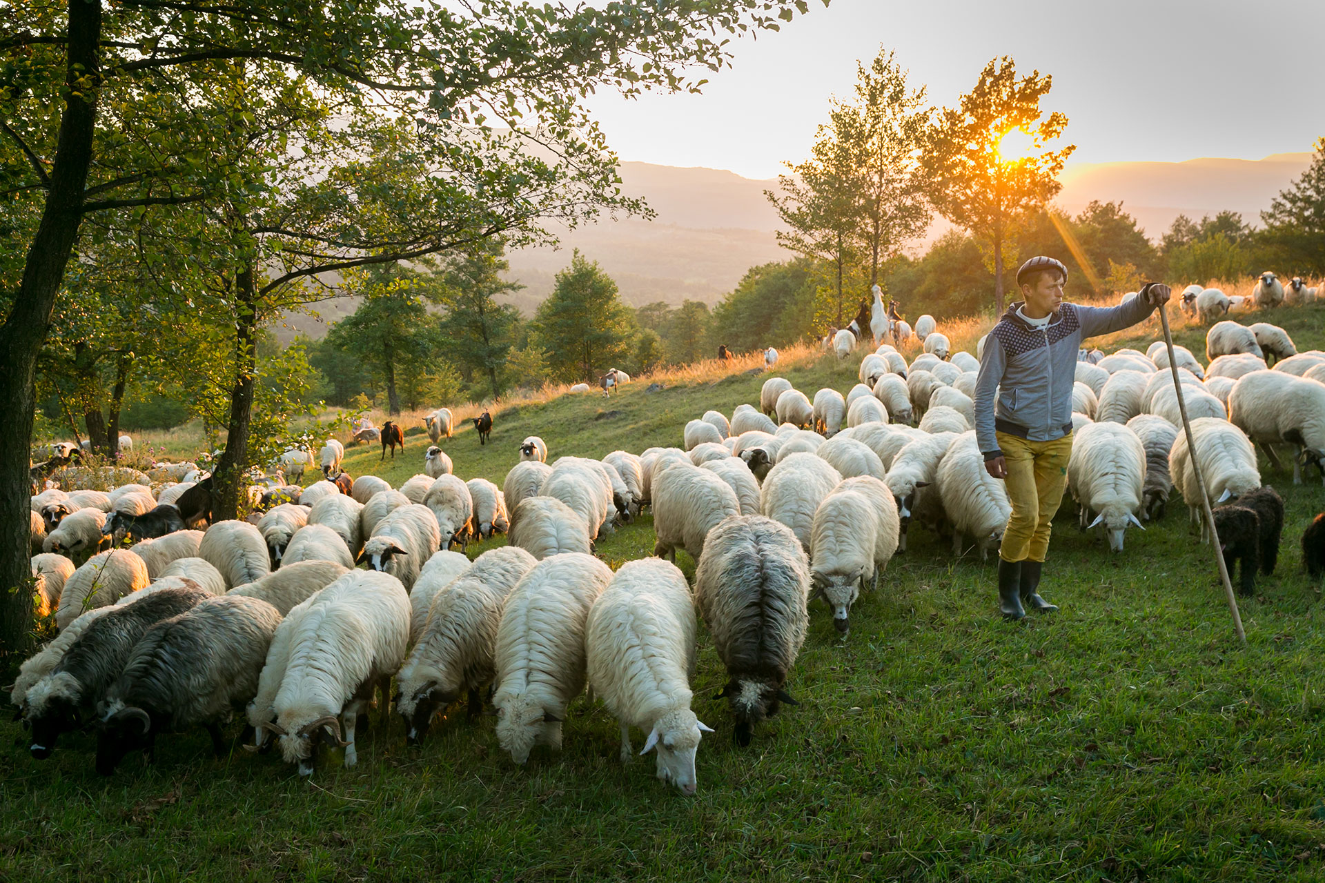 fotó: KINCSESKAMERA – Szabó Zoltán