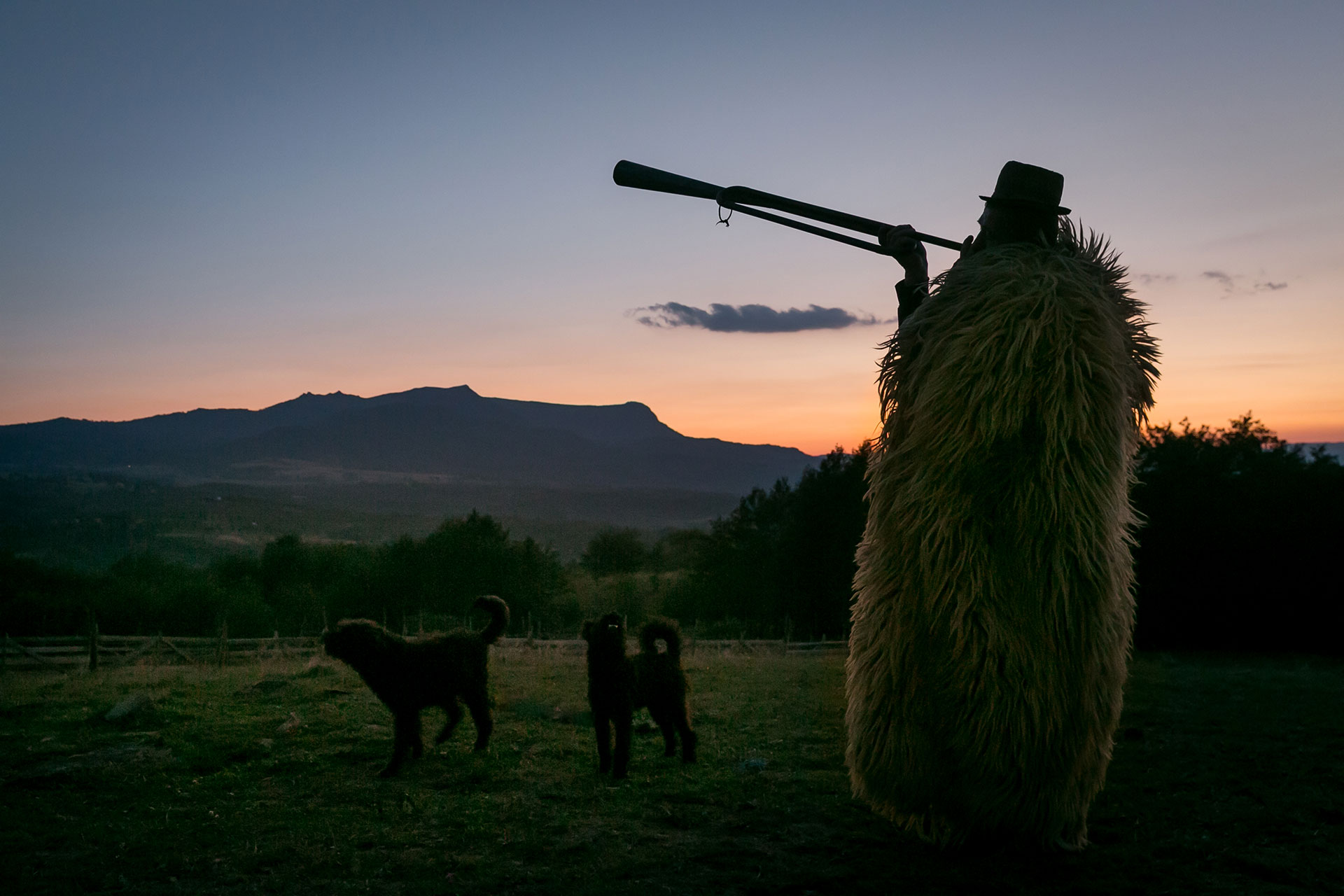 fotó: KINCSESKAMERA – Szabó Zoltán