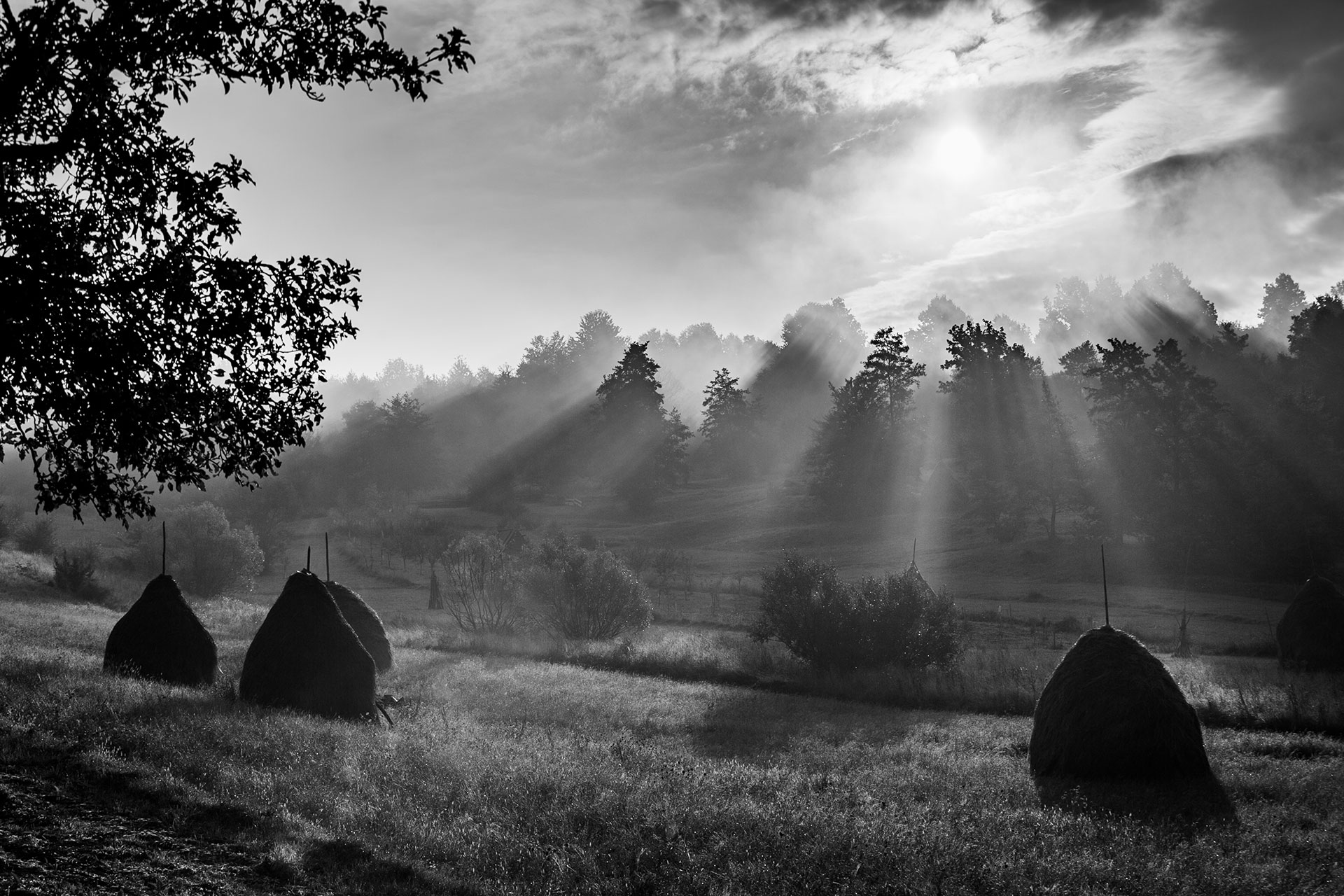 fotó: KINCSESKAMERA – Szabó Zoltán