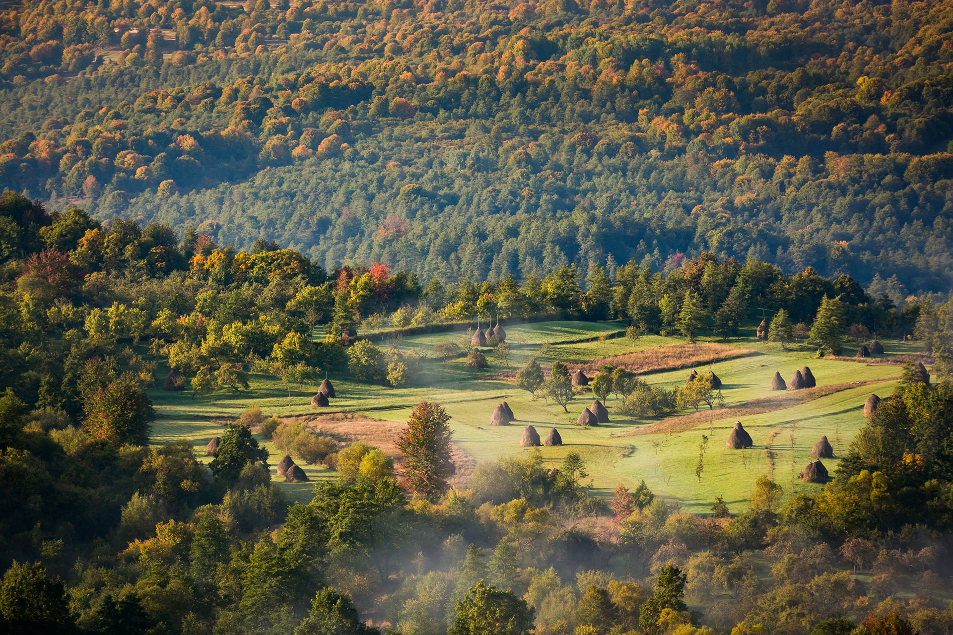 fotó: KINCSESKAMERA – Szabó Zoltán