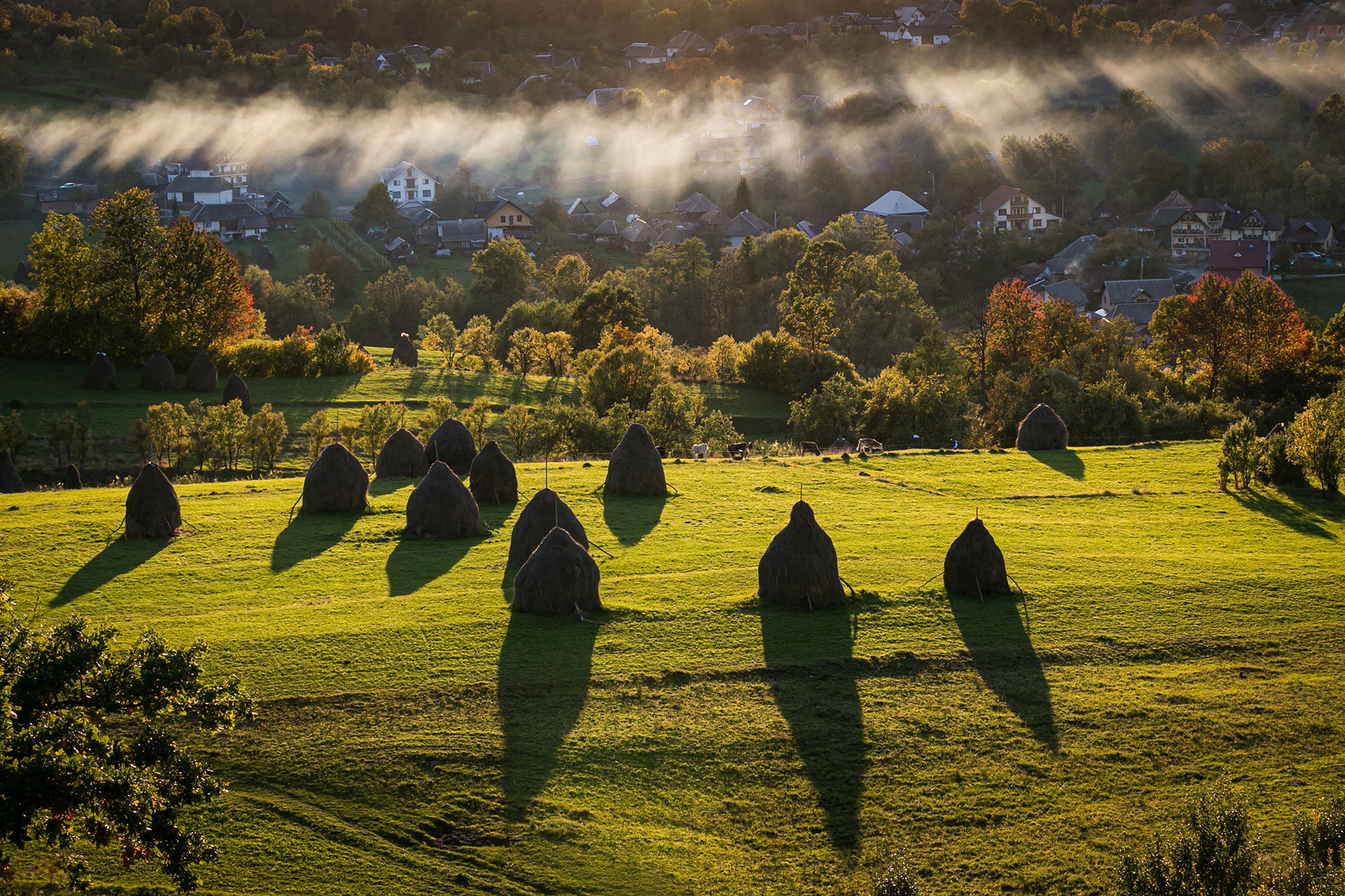 fotó: KINCSESKAMERA – Szabó Zoltán
