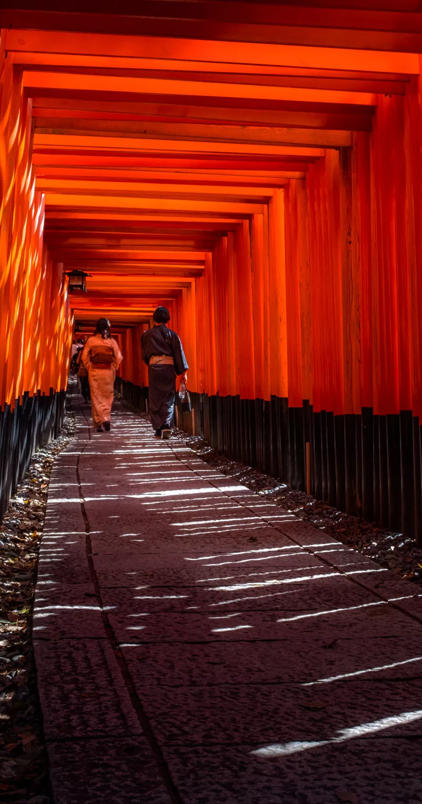 fotó: KINCSESKAMERA – Kocsány Kornél