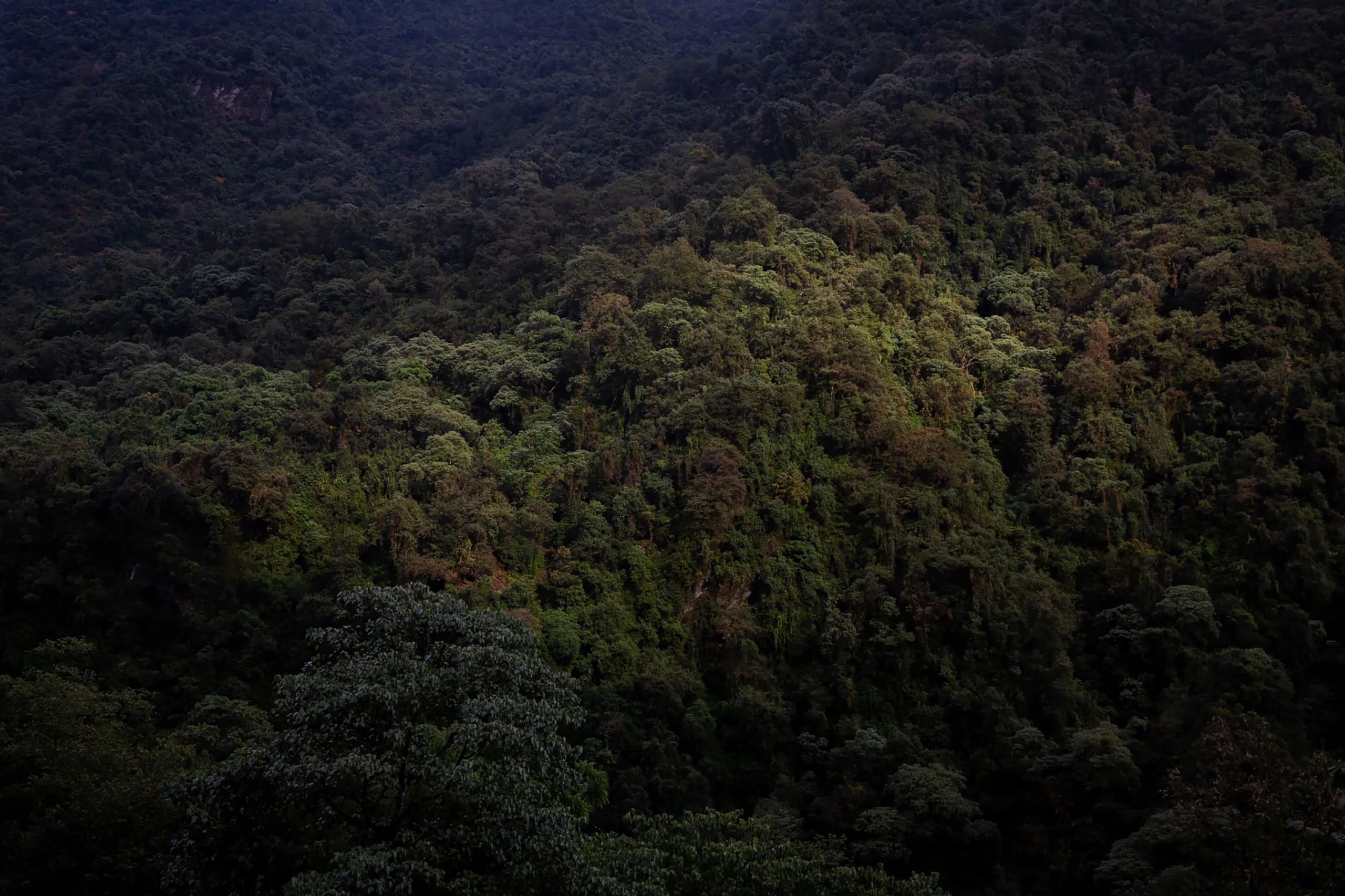 fotó: KINCSESKAMERA – Kocsány Kornél