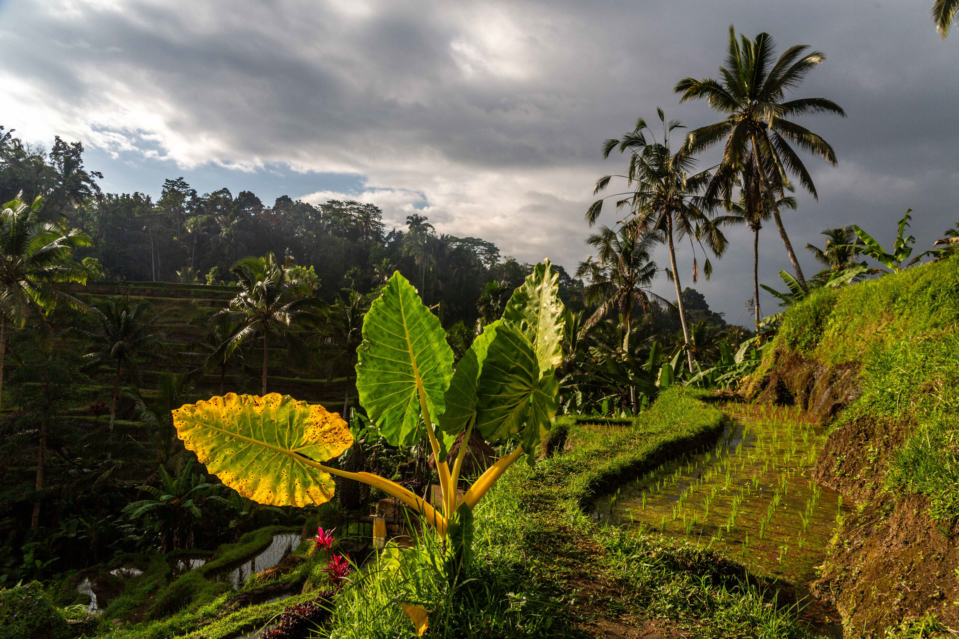 fotó: KINCSESKAMERA – Kocsány Kornél
